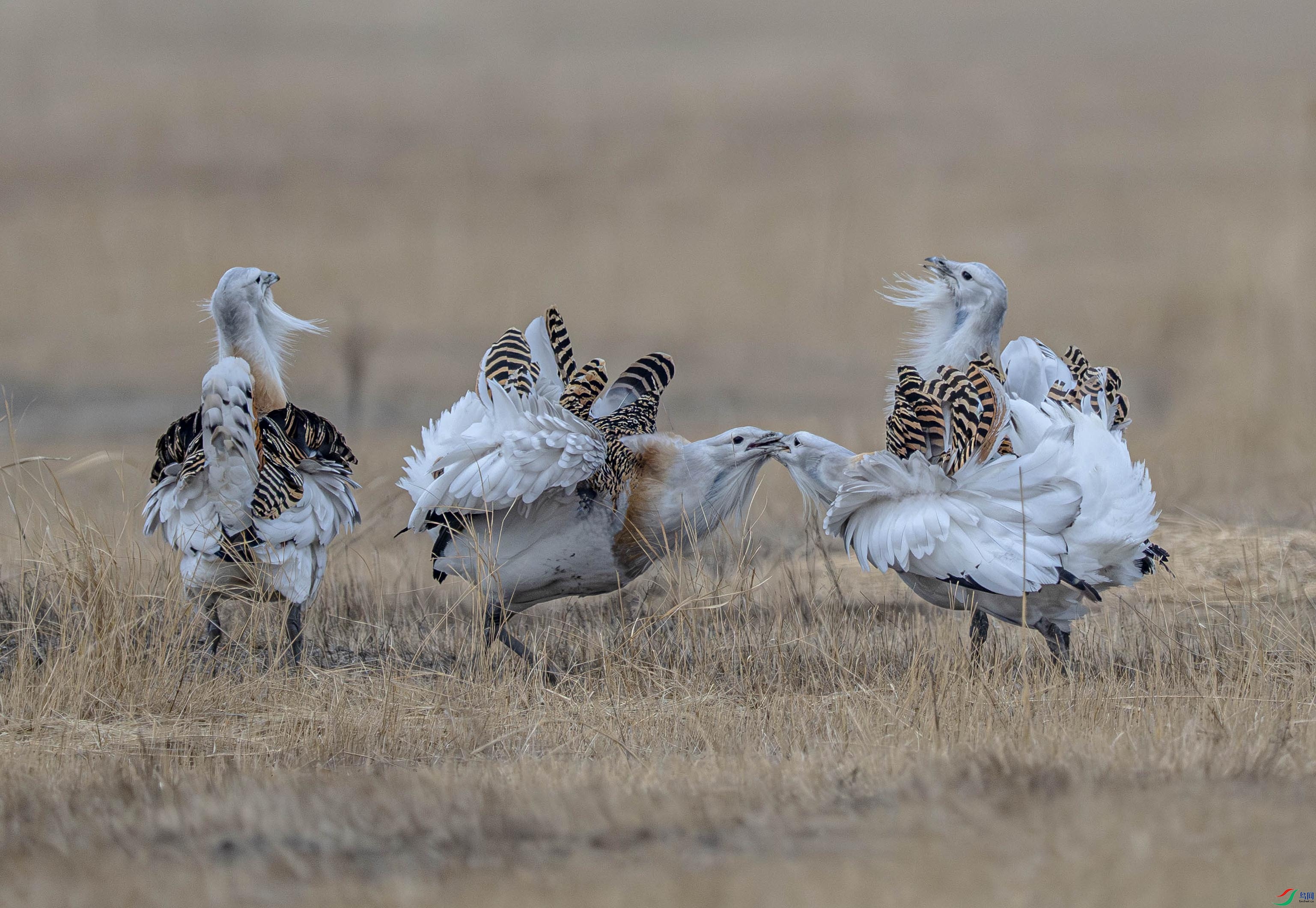 DSC_0210 ����.jpg