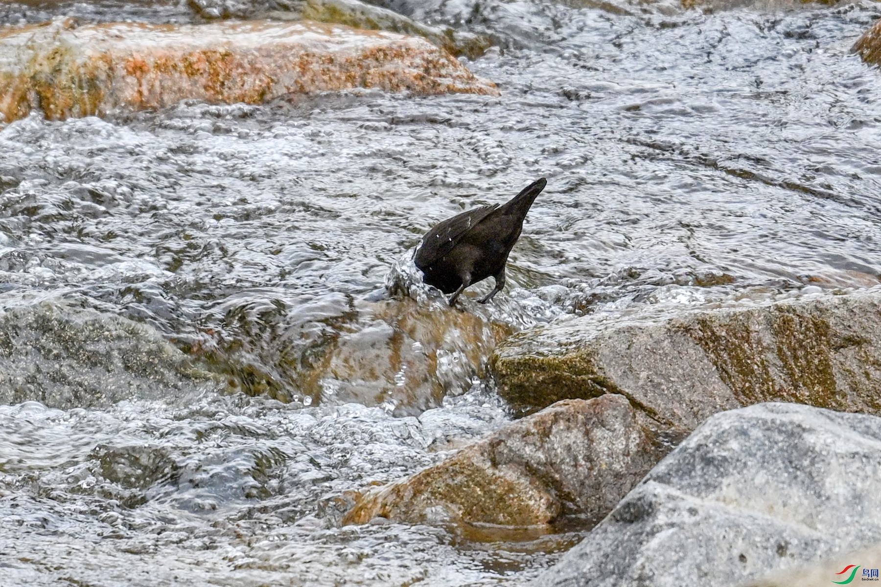 DSC_3506.JPG