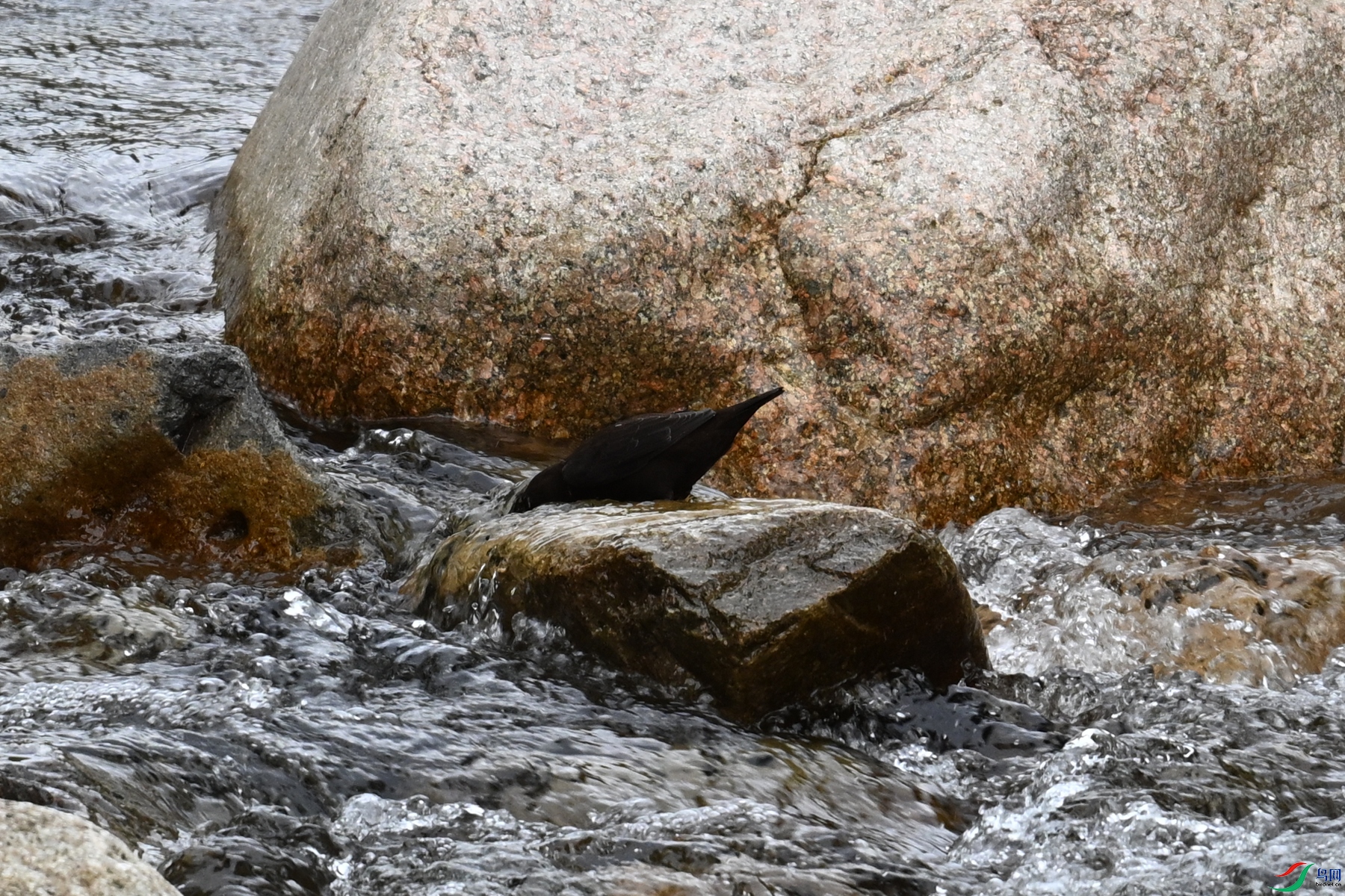 DSC_3519.JPG