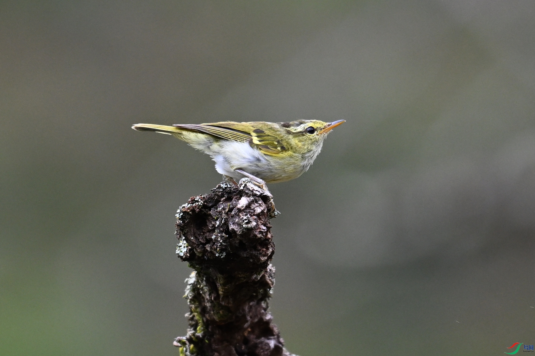 DSC_3459.JPG