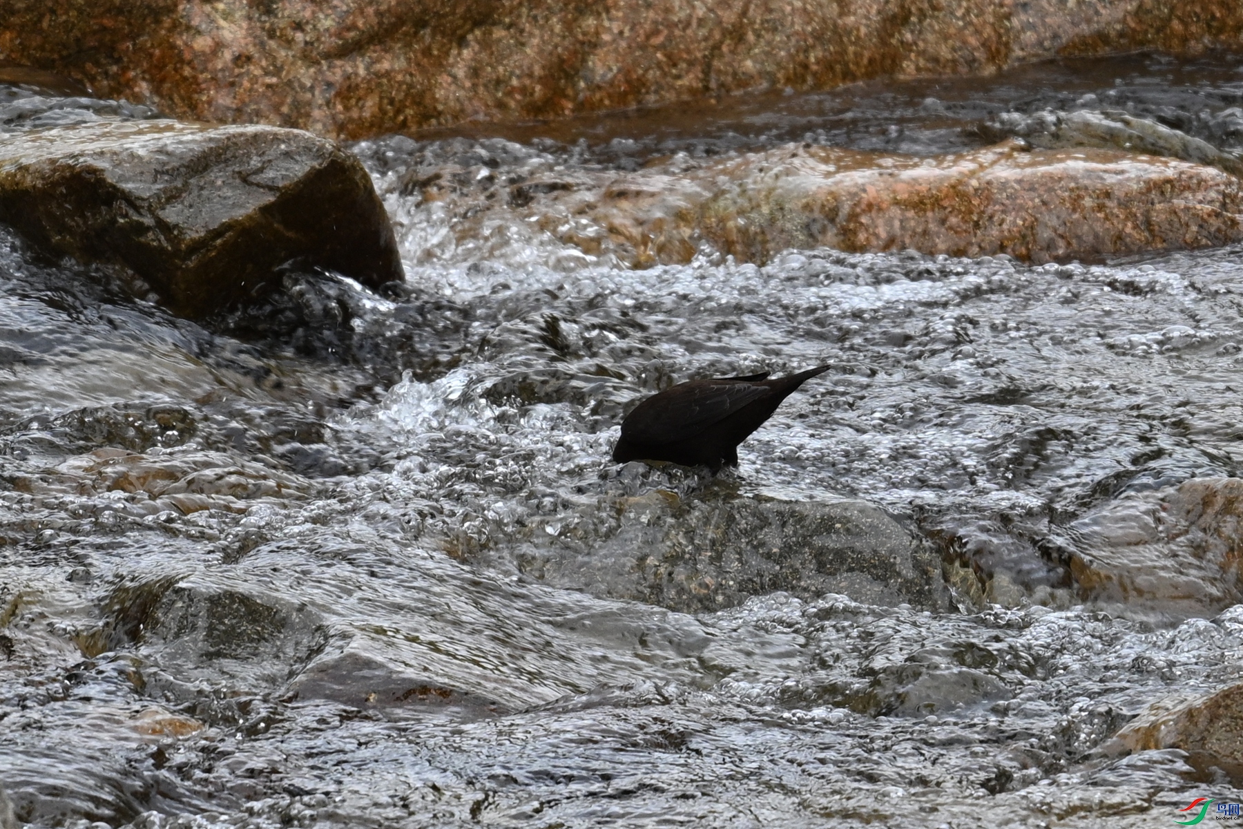 DSC_3524.JPG