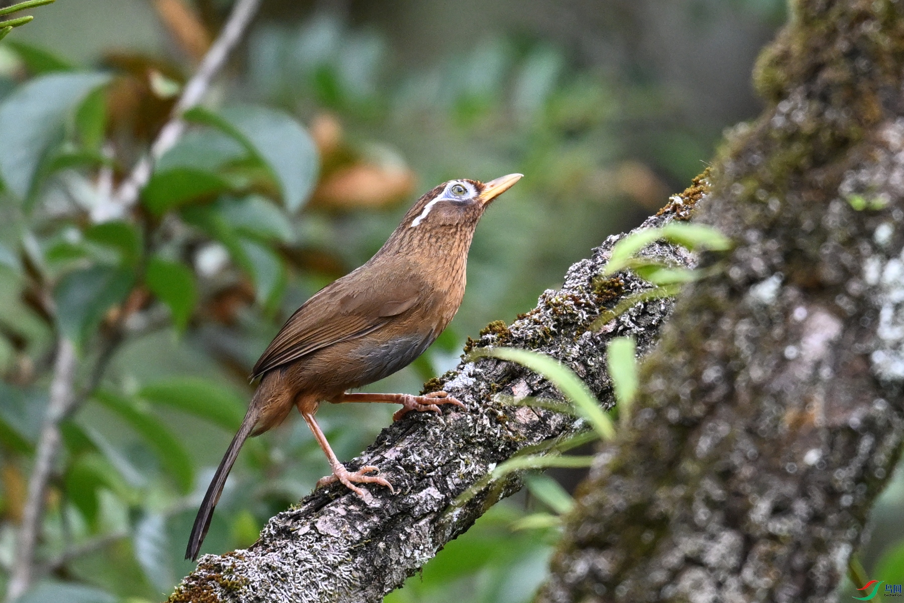 DSC_3470.JPG