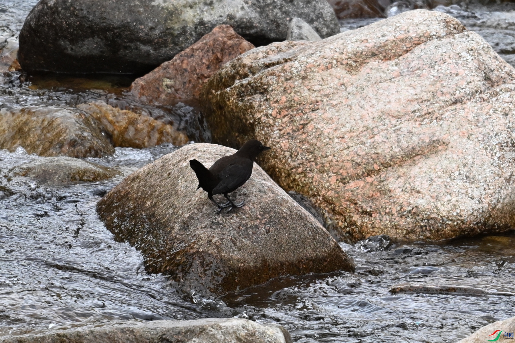 DSC_3512.JPG