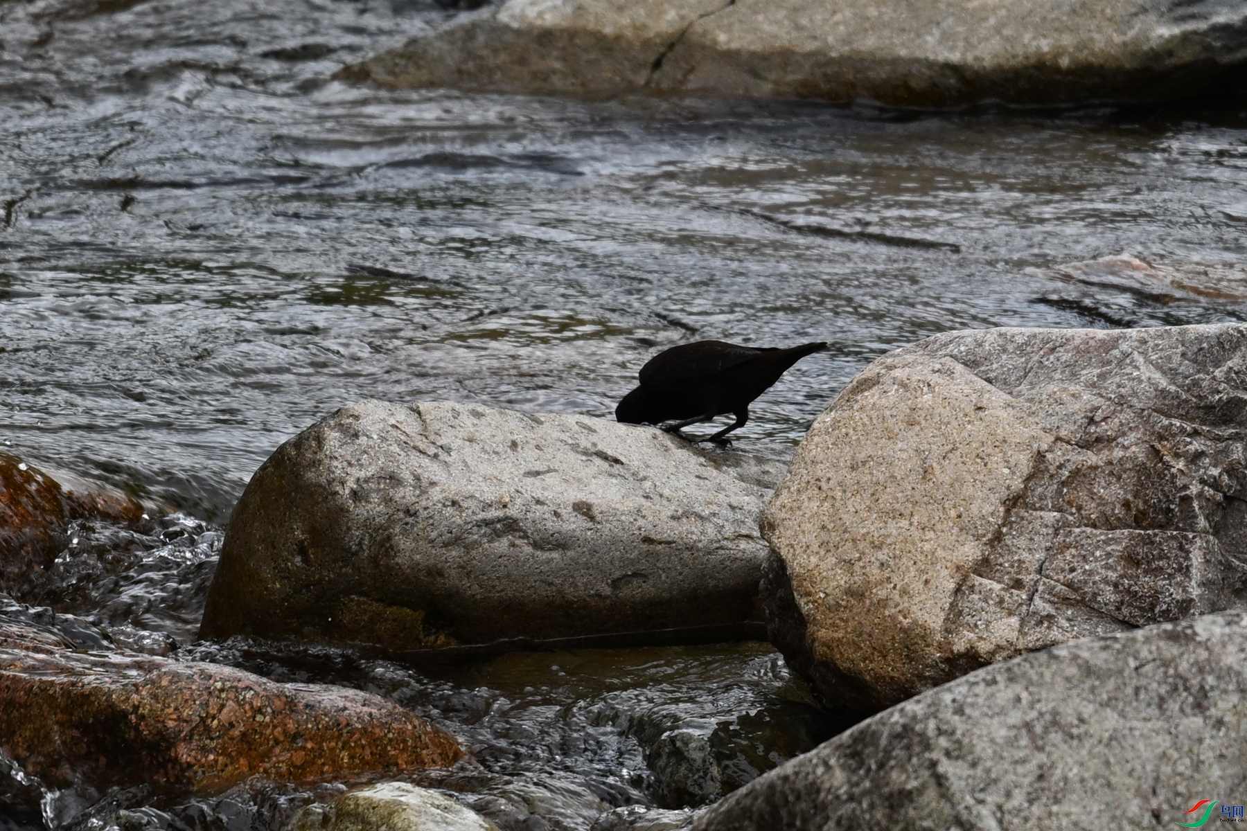 DSC_3527.JPG