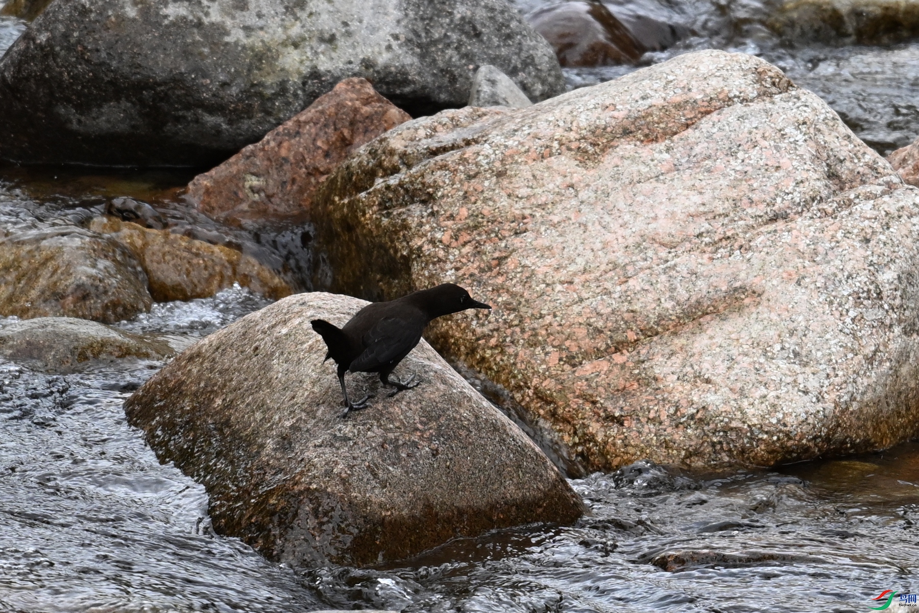 DSC_3514.JPG