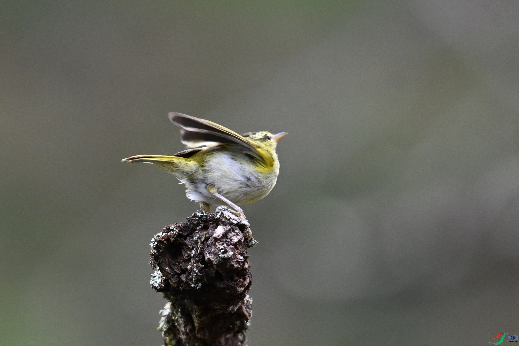 DSC_3461.JPG