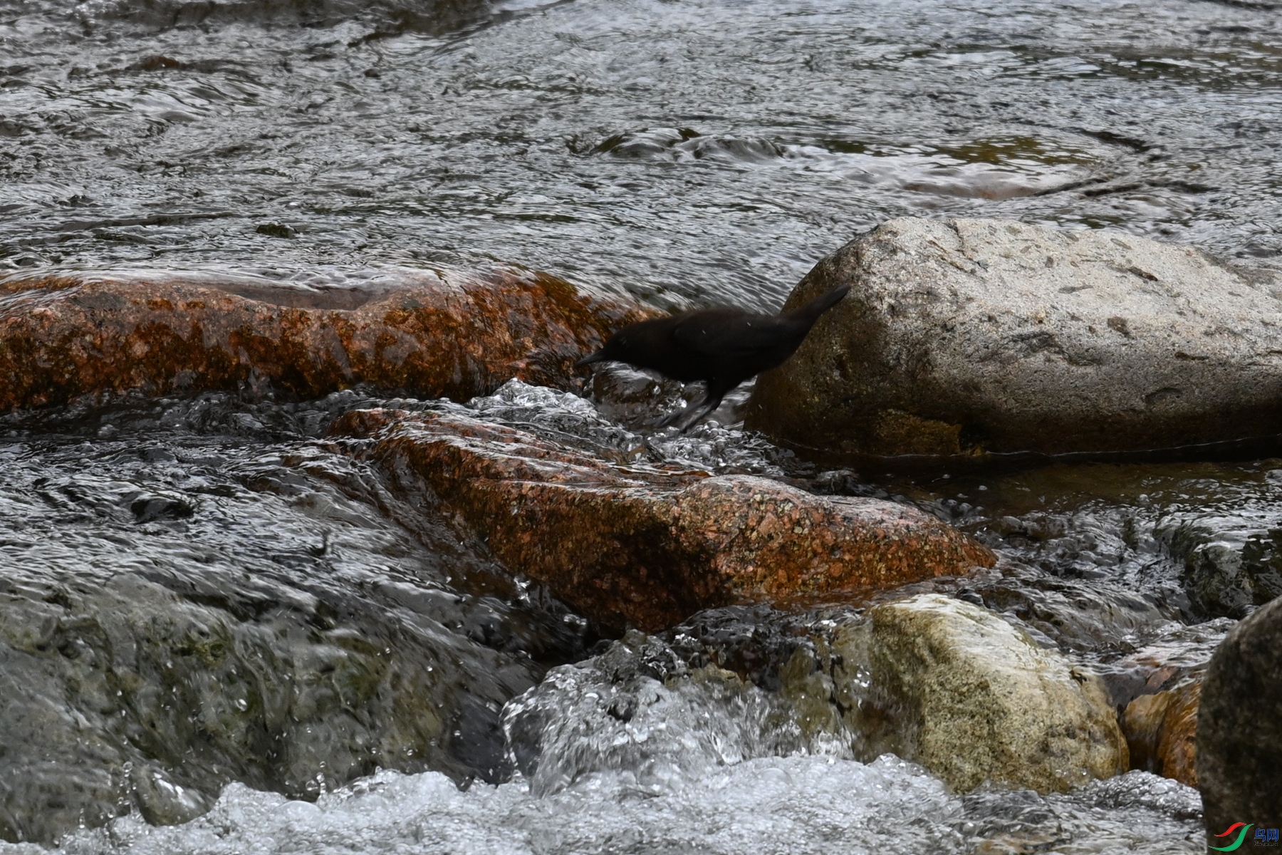 DSC_3533.JPG