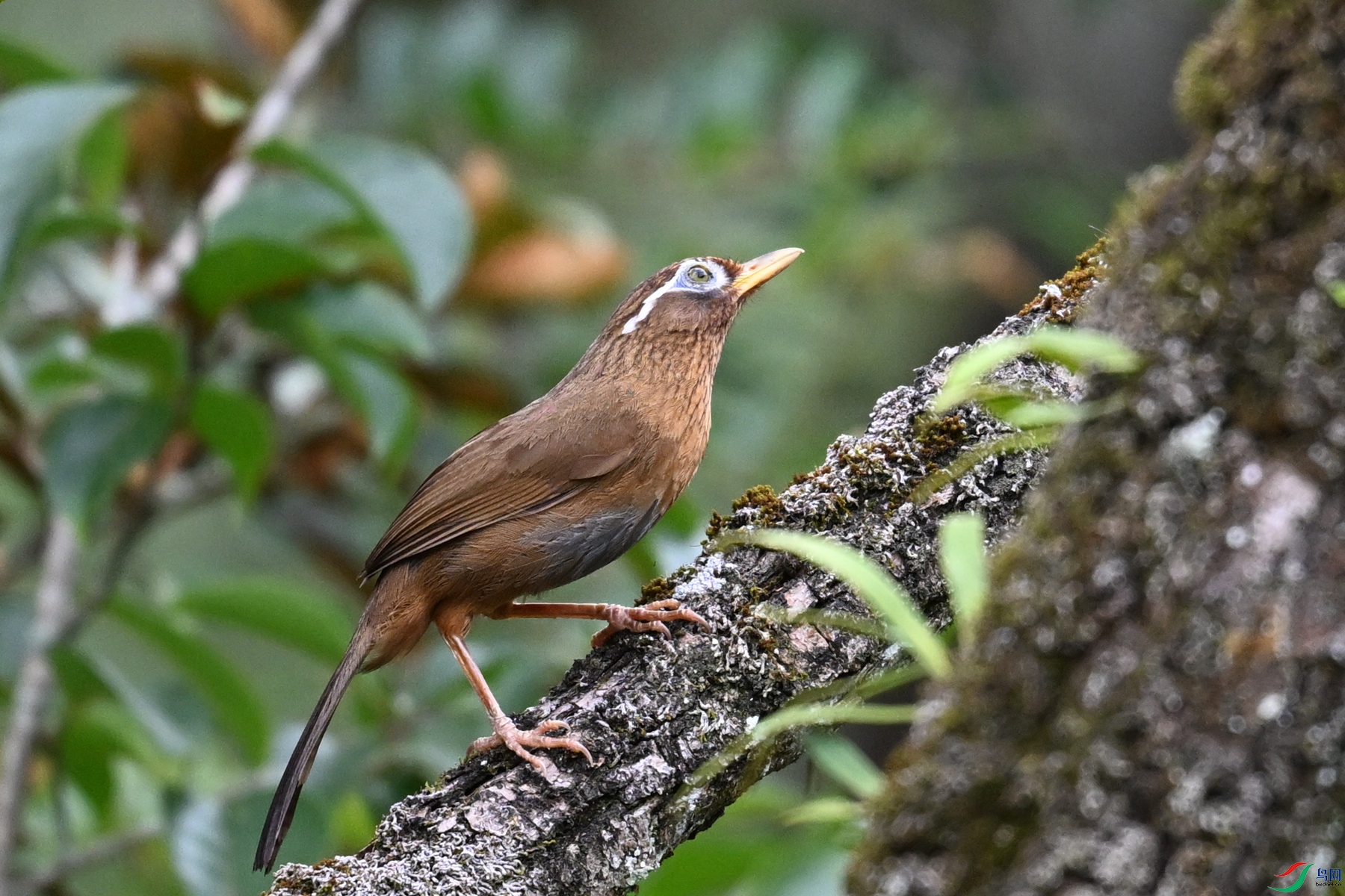 DSC_3471.JPG
