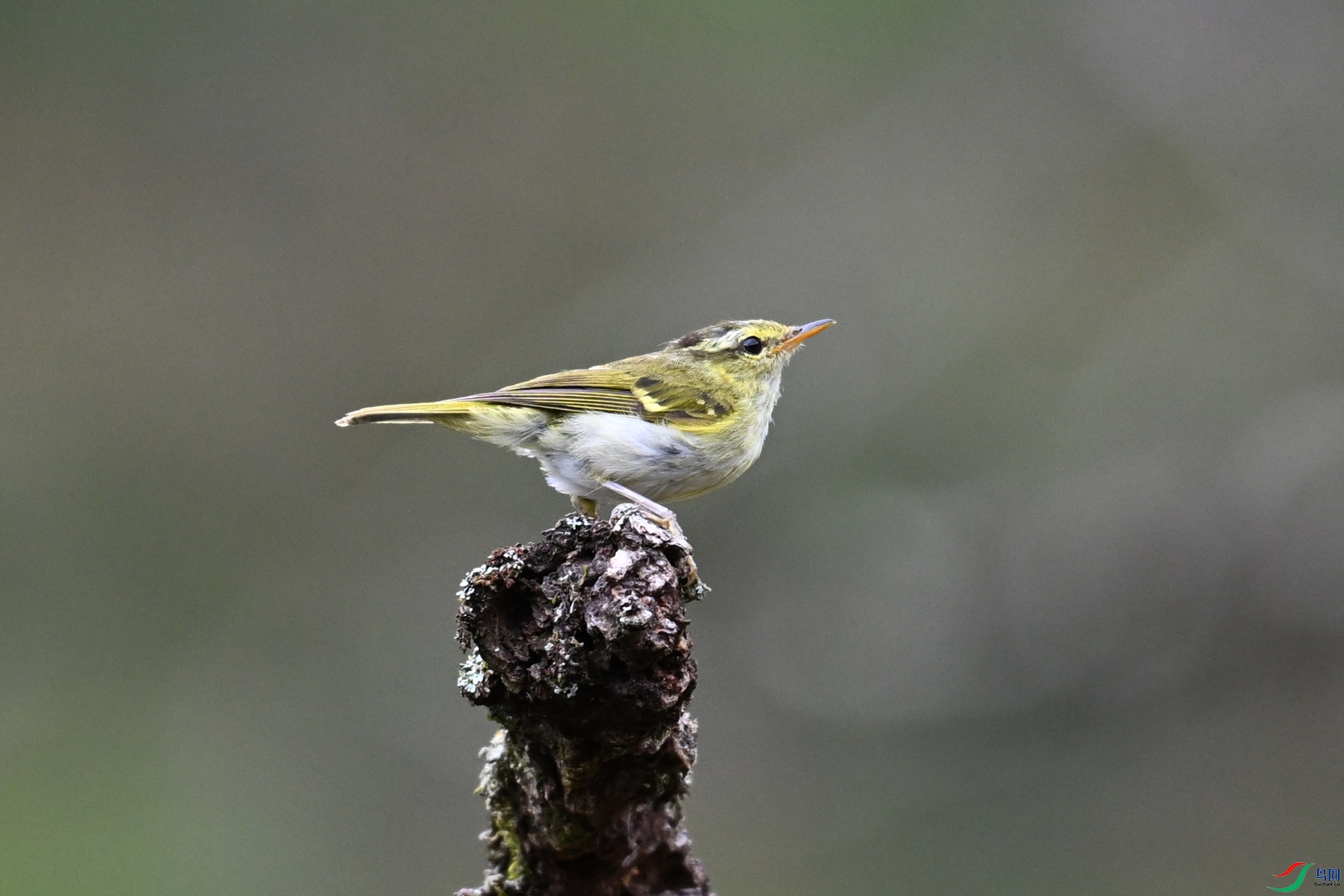 DSC_3463.JPG