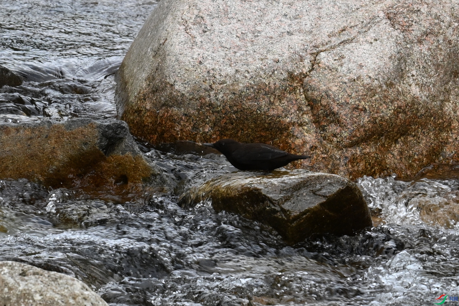 DSC_3521.JPG