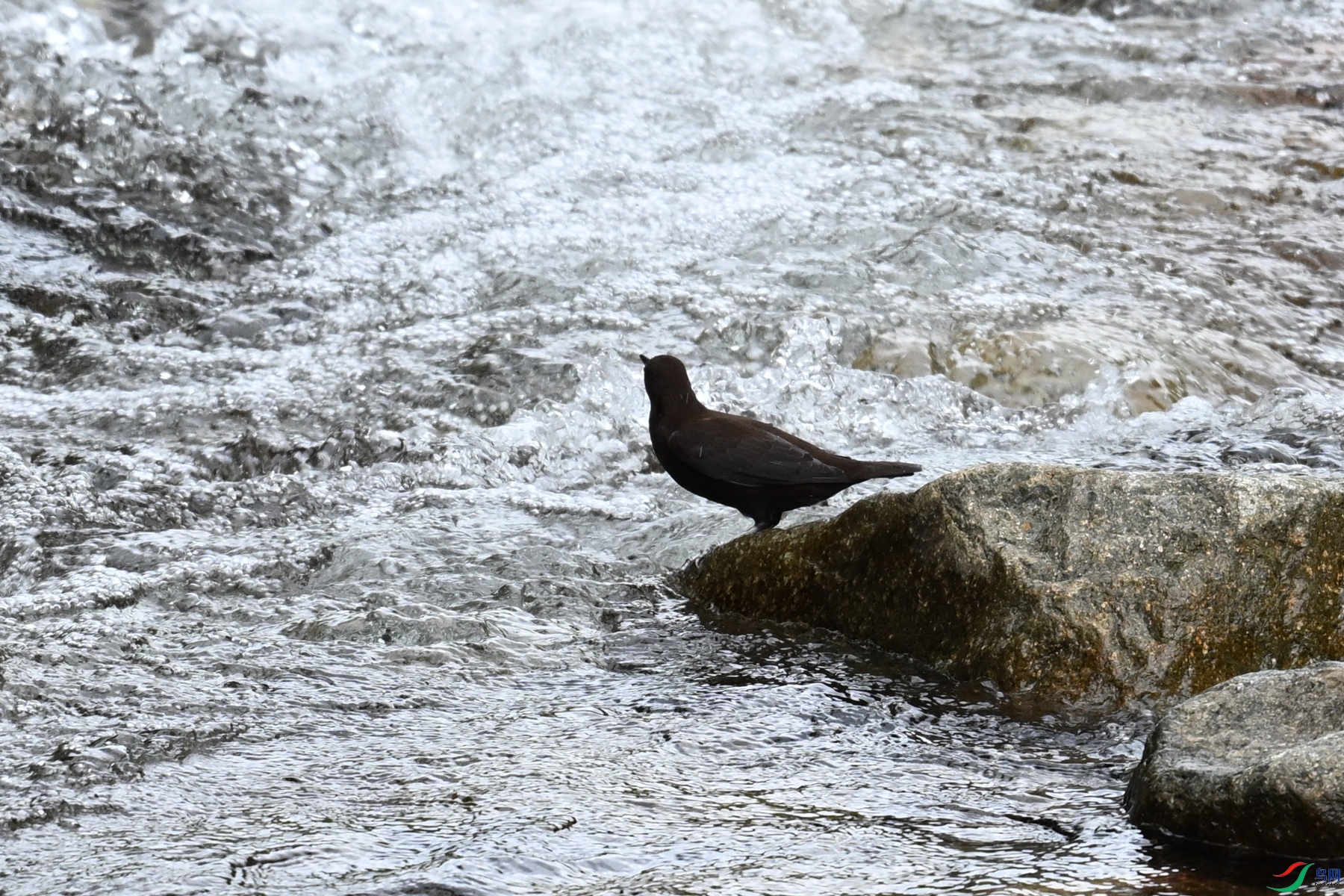 DSC_3538.JPG