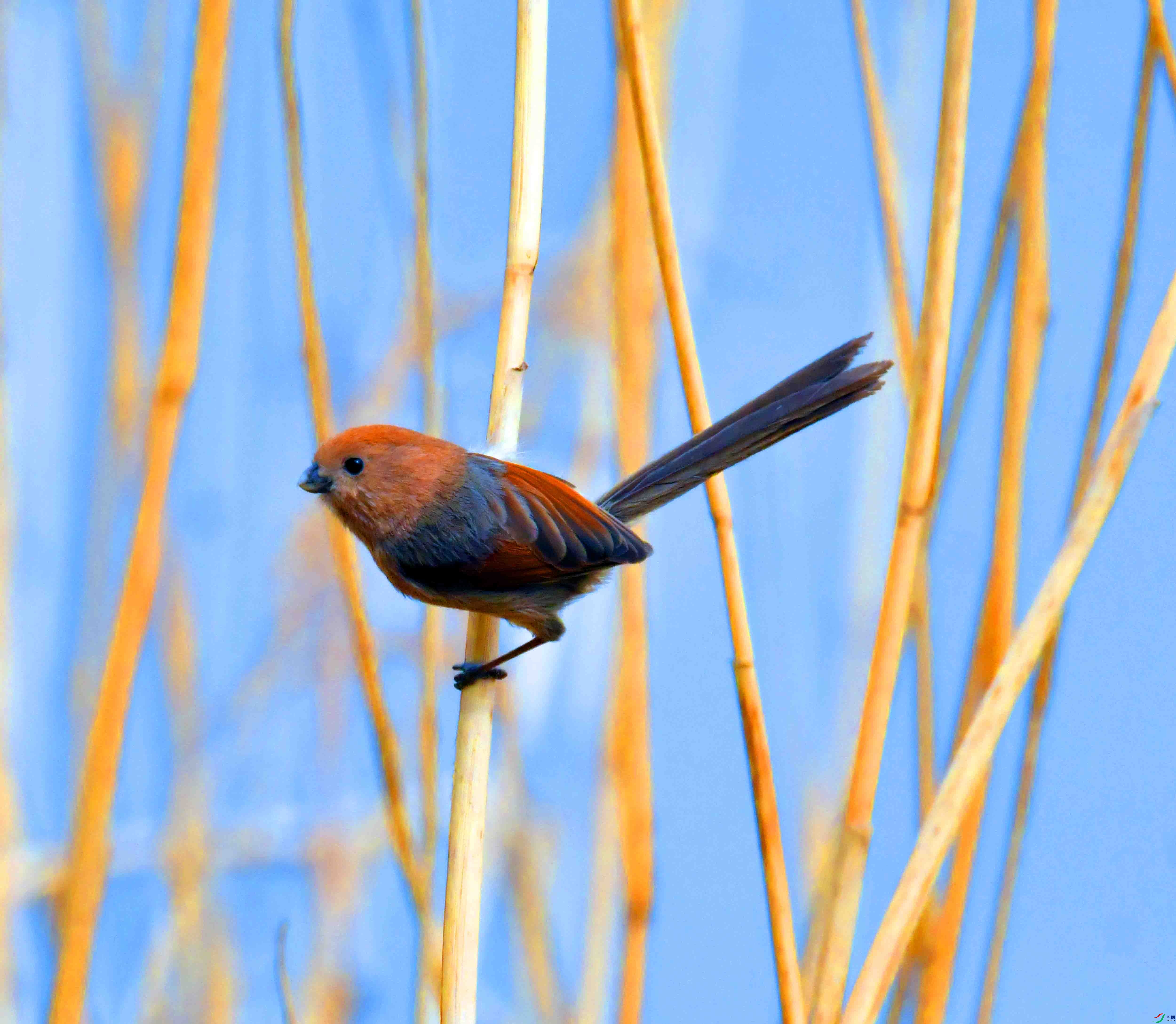 DSC_1815.JPG