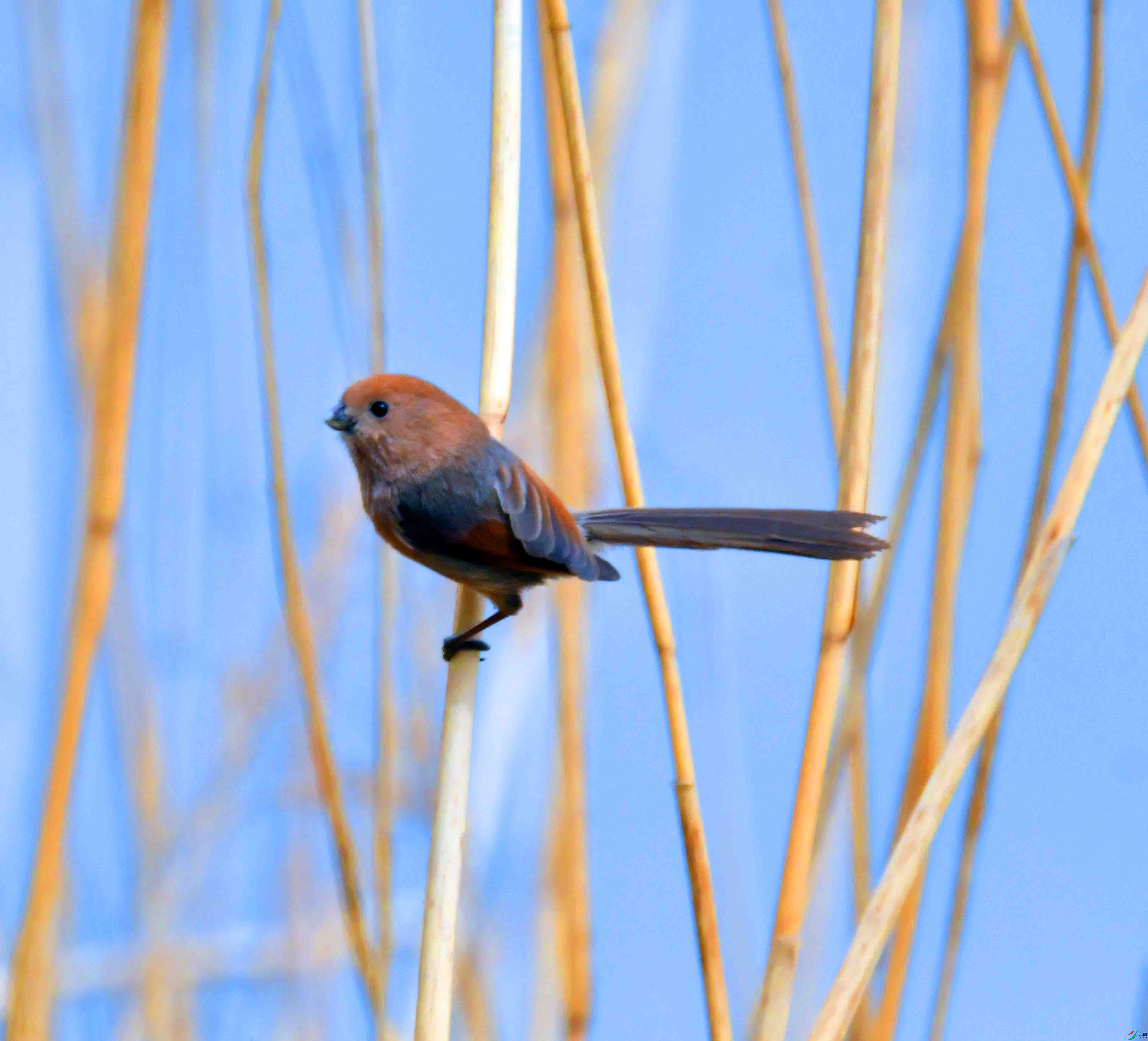 DSC_1829.JPG