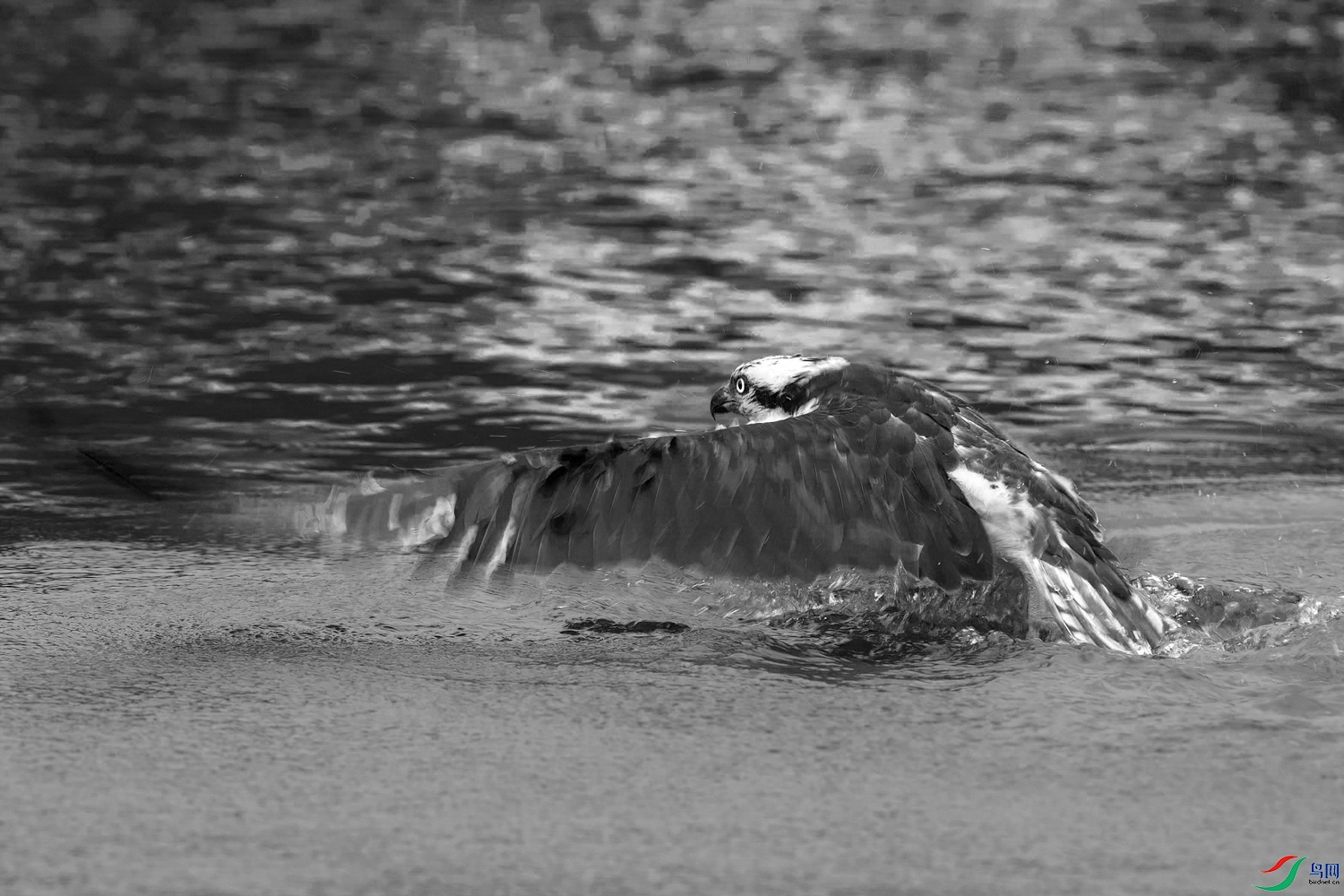 AQ9I1582 ����.jpg