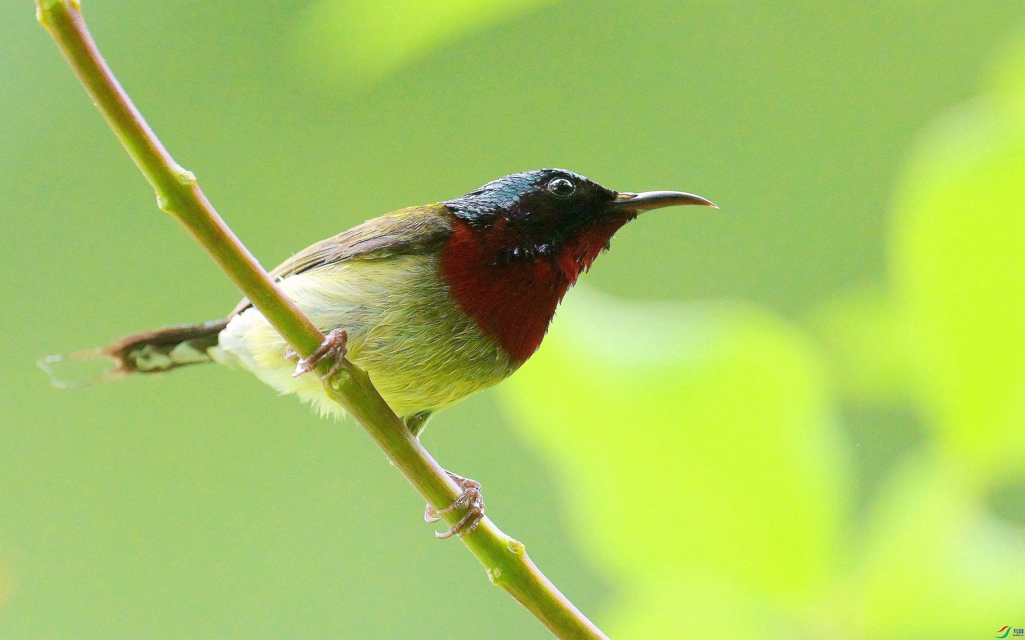 DSC_1573.jpg