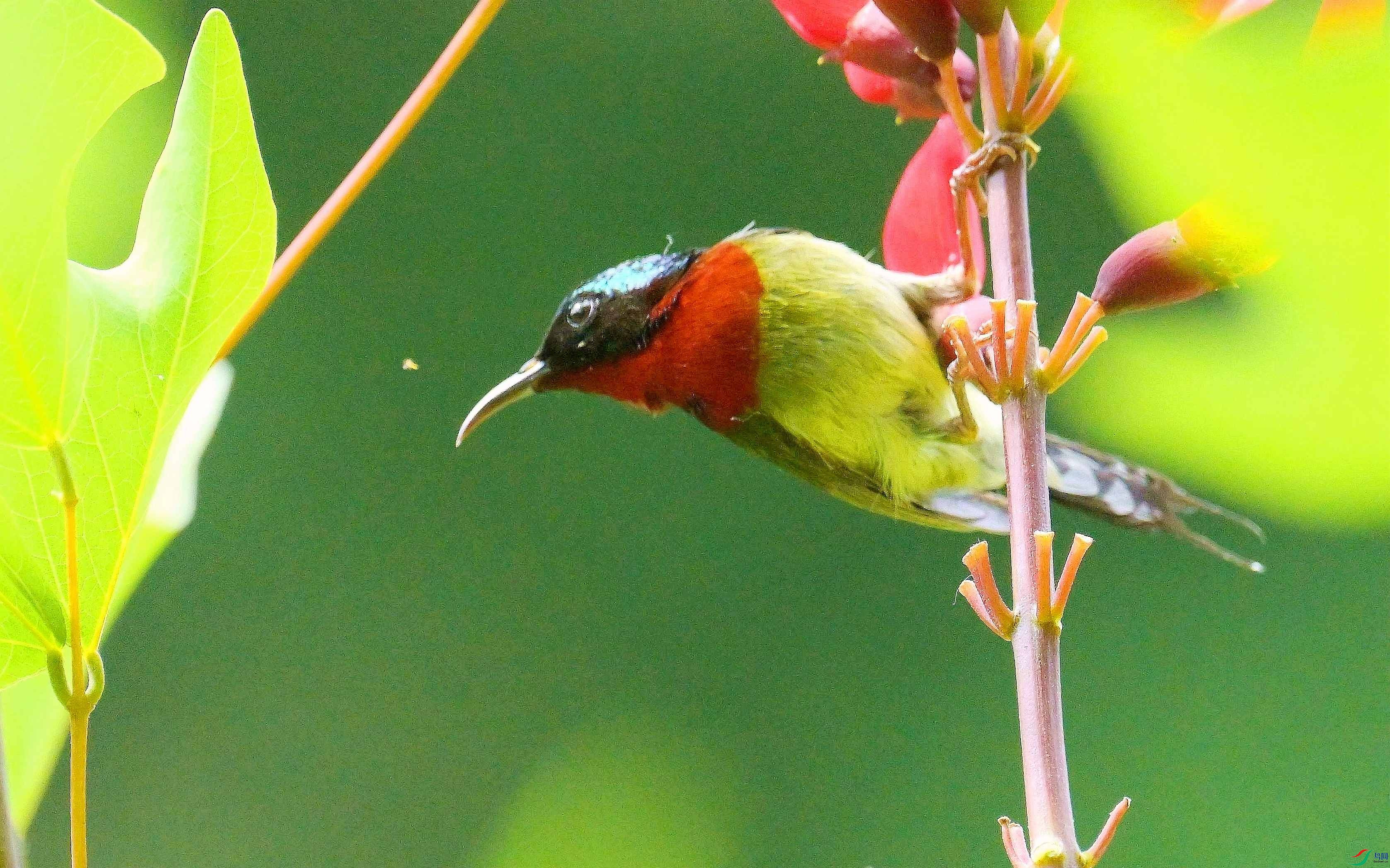 DSC_1556.jpg