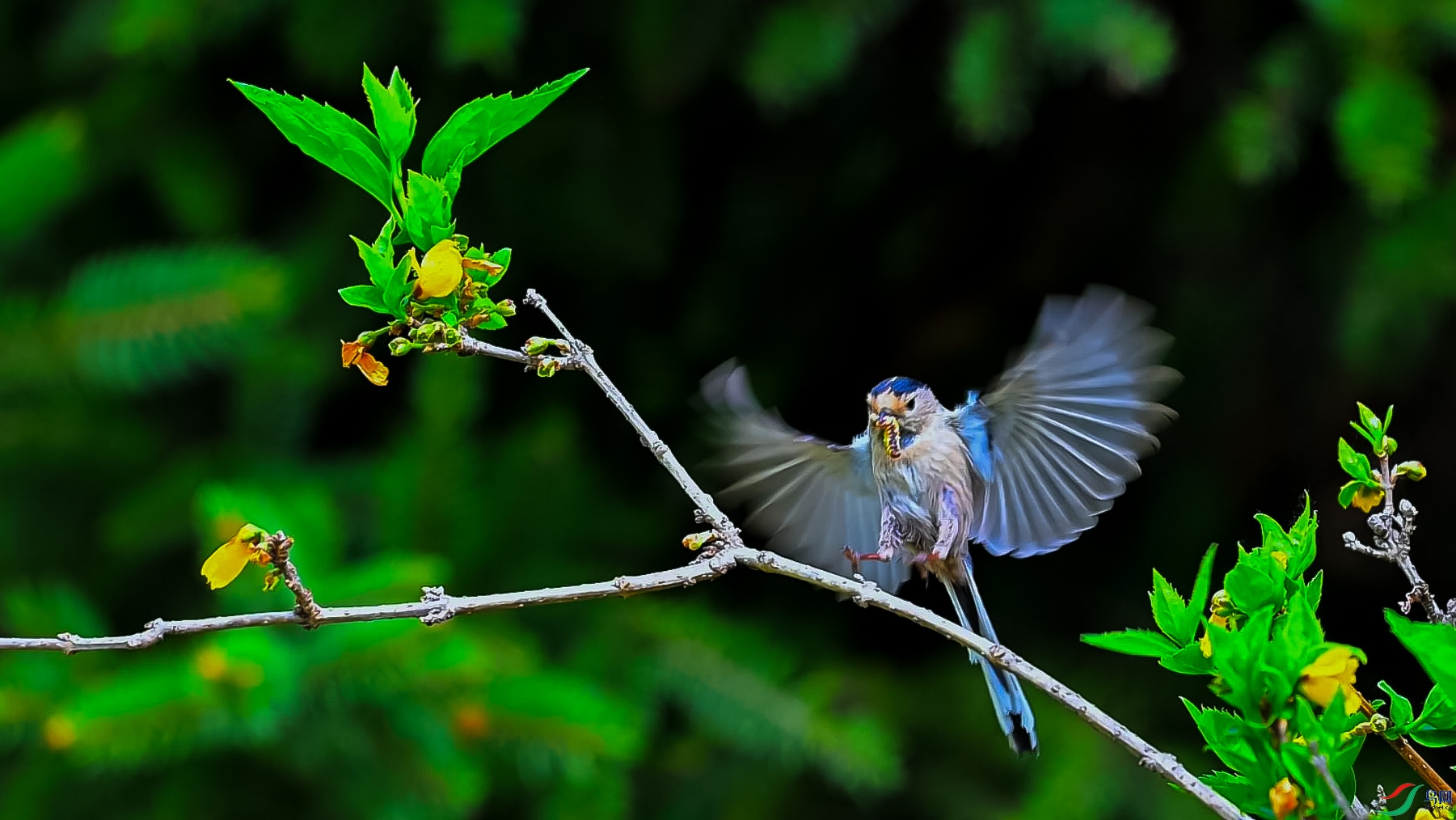 æµ�Ĵ���-���� ����.jpg