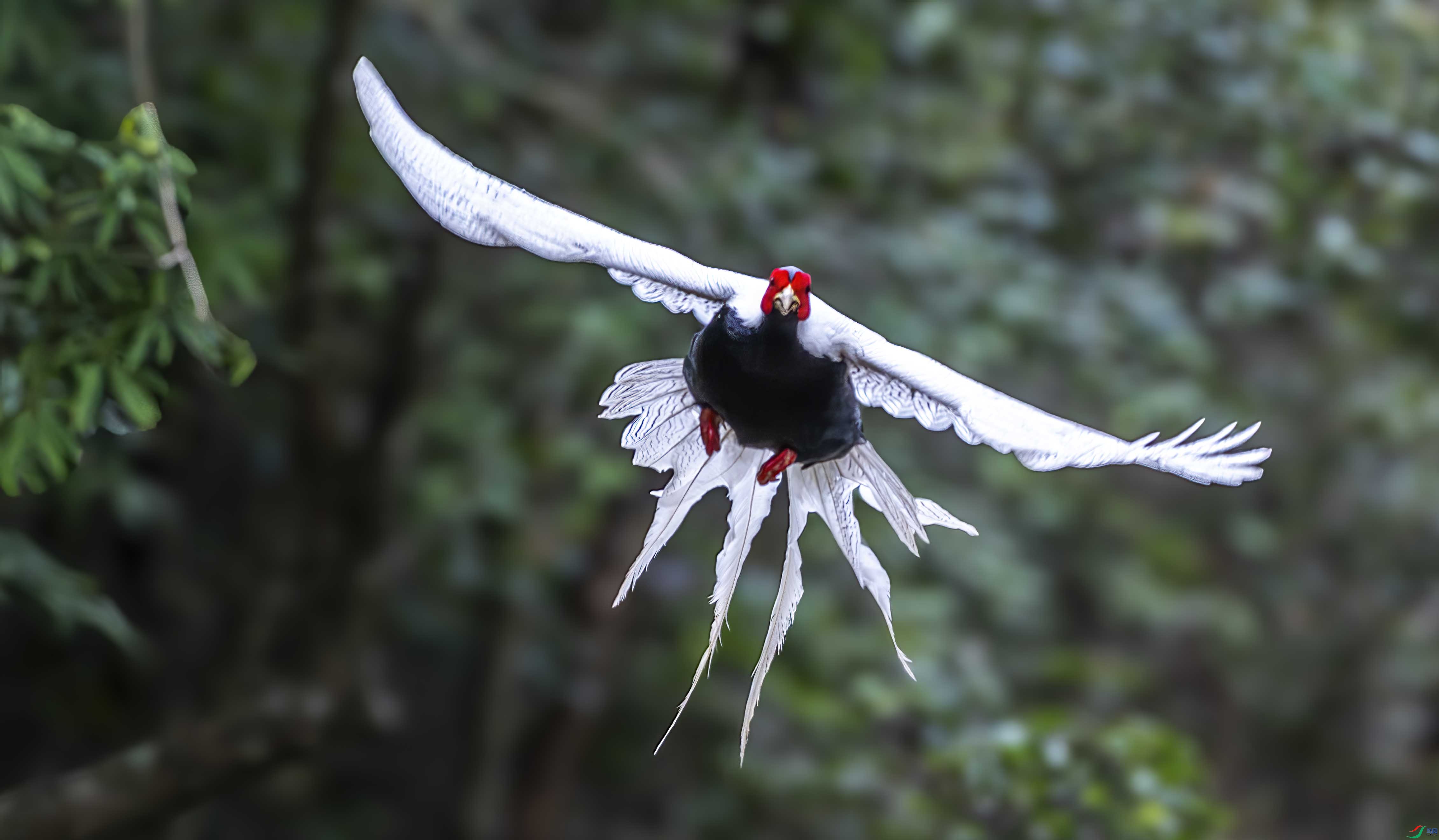 _DSC8347 ����.jpg