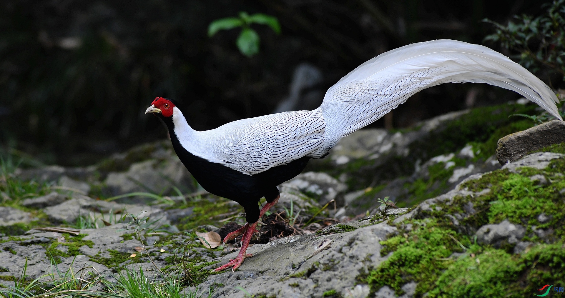 DSC_1405.jpg