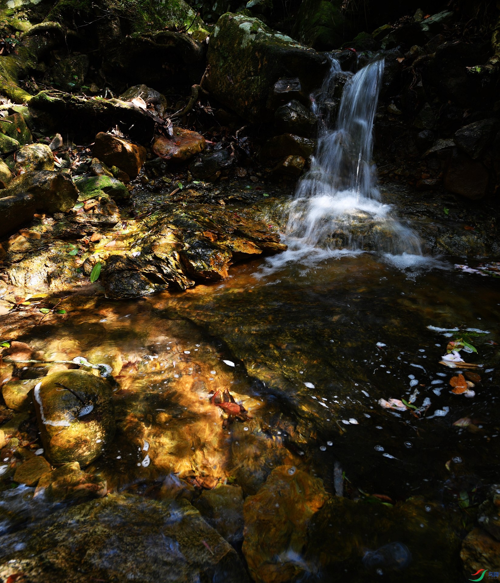 DSC_4359.jpg