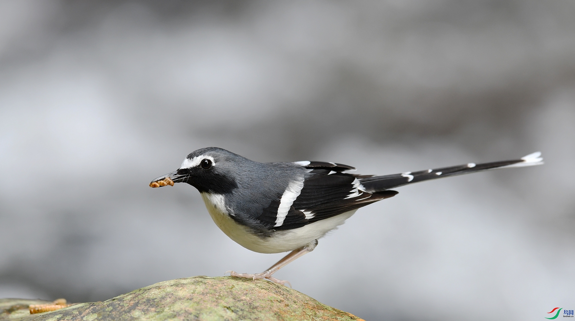 DSC_4906.jpg