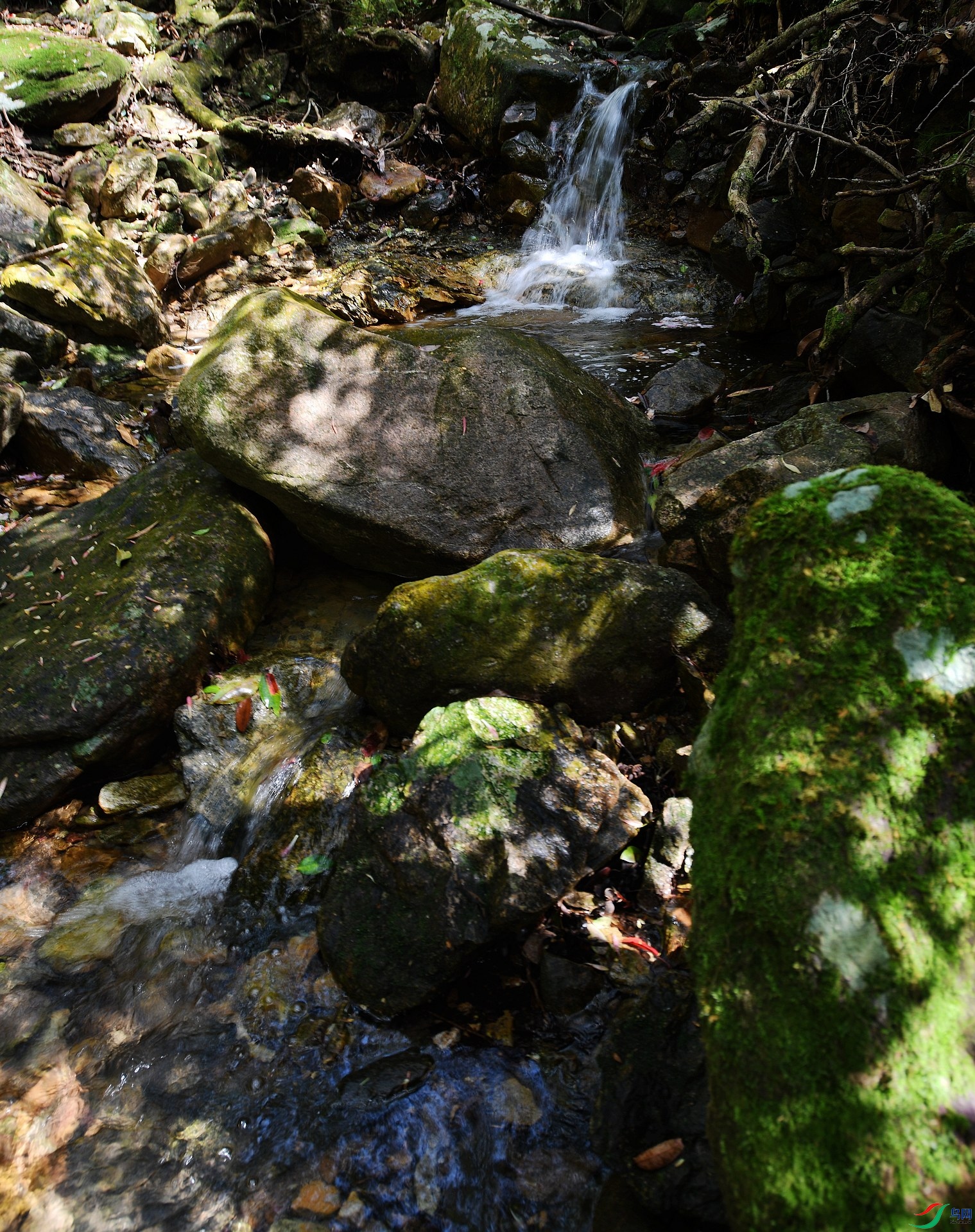 DSC_4358.jpg