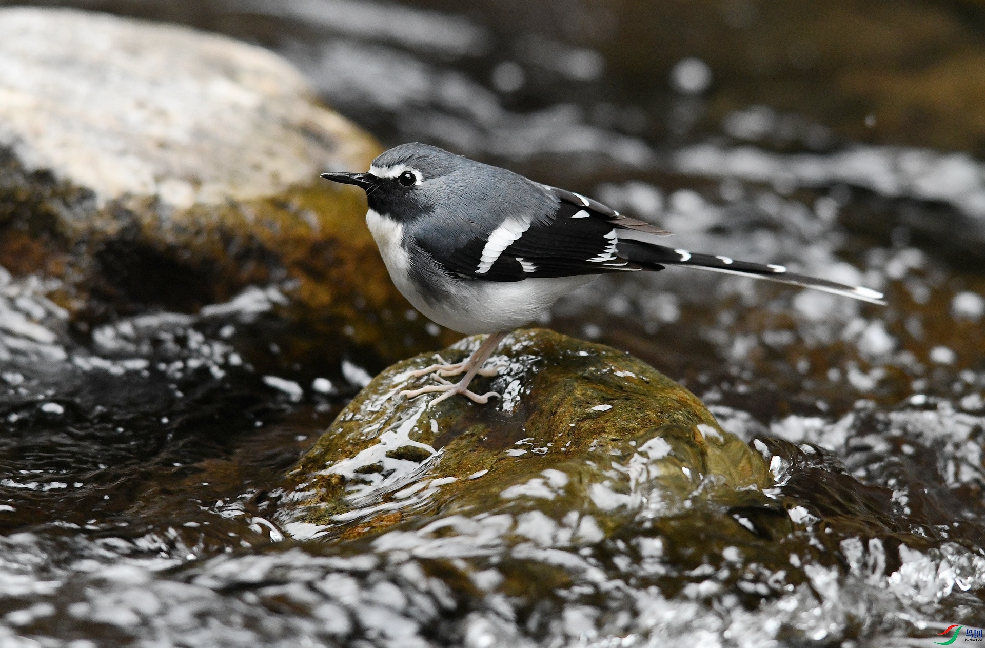 DSC_9612.jpg
