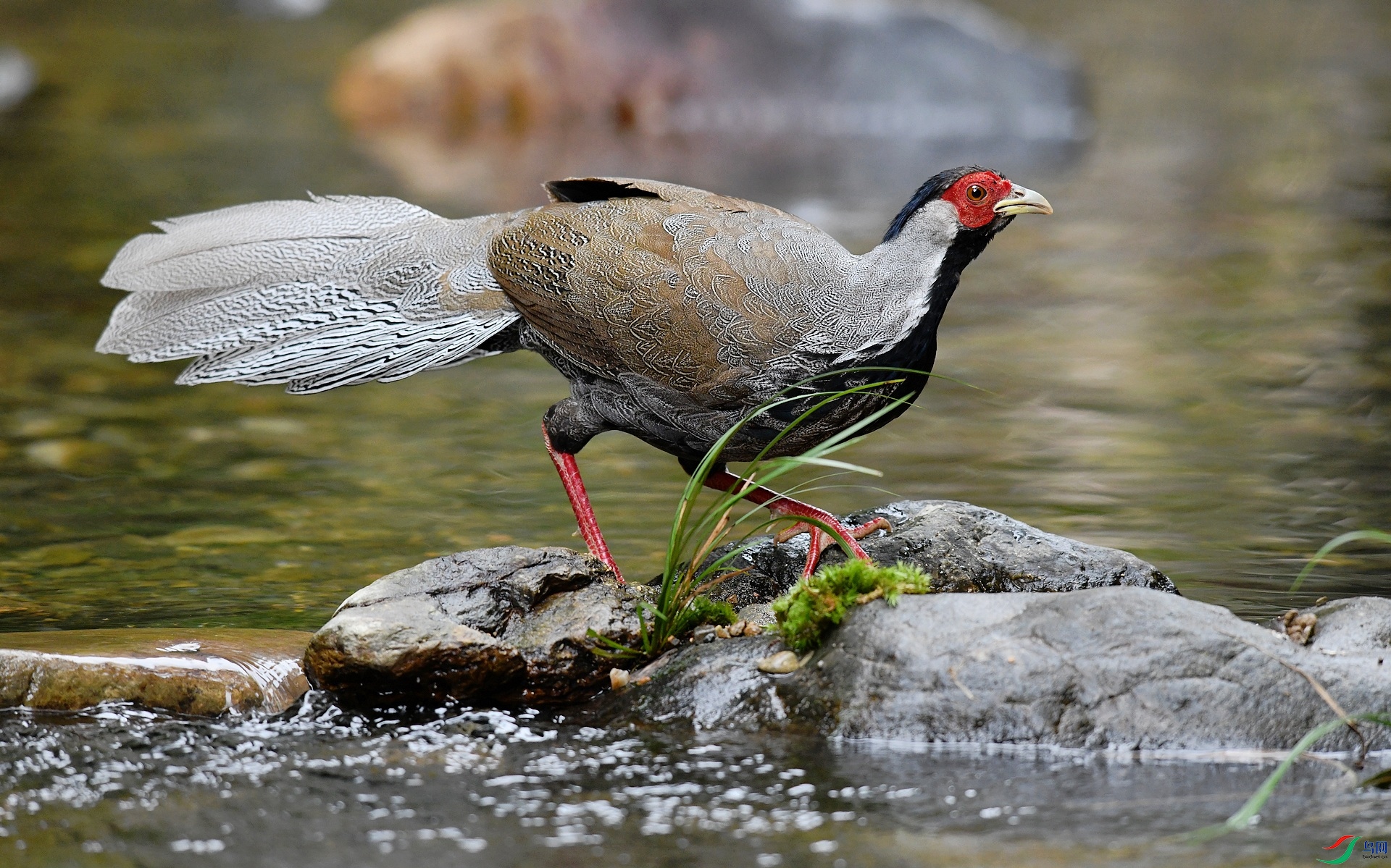 DSC_9183.jpg