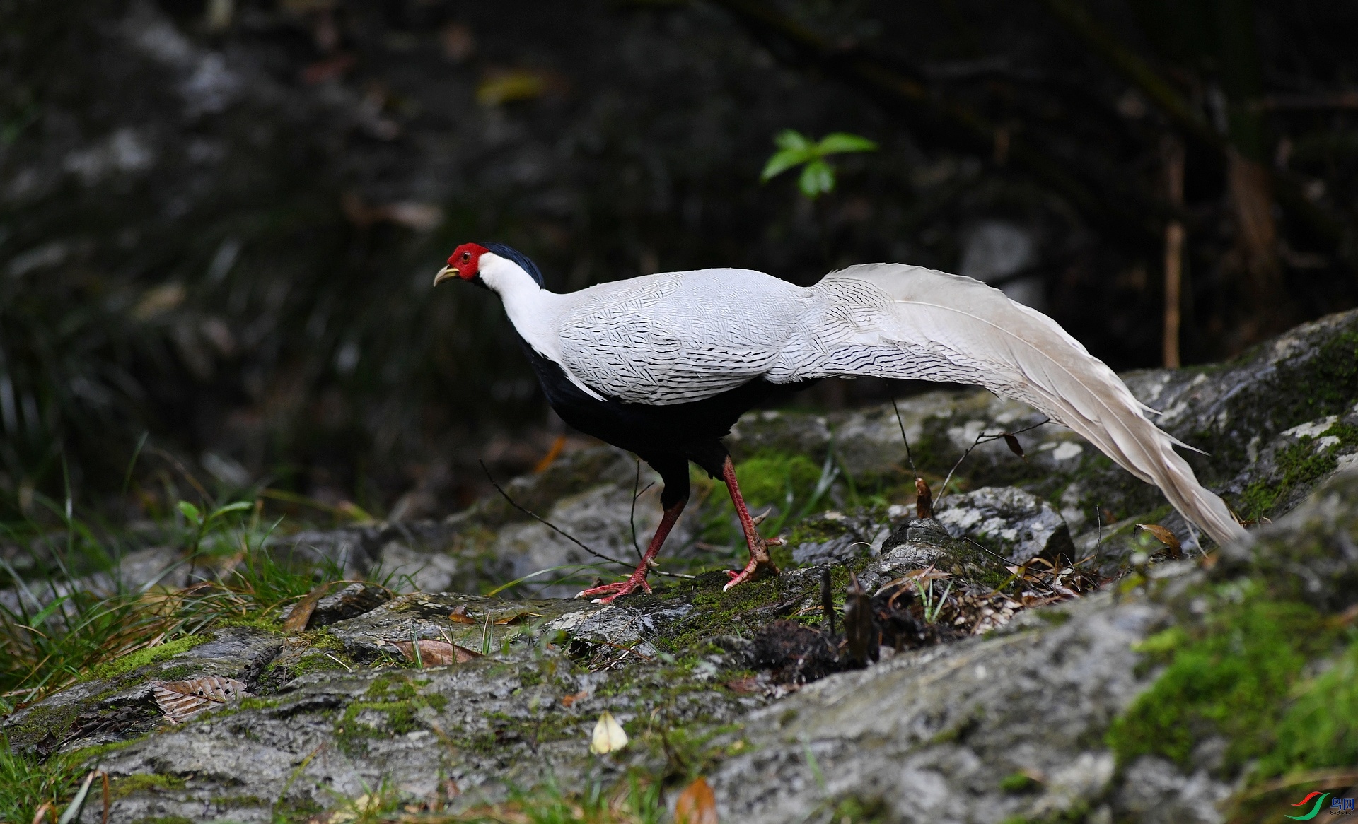 DSC_8673.jpg