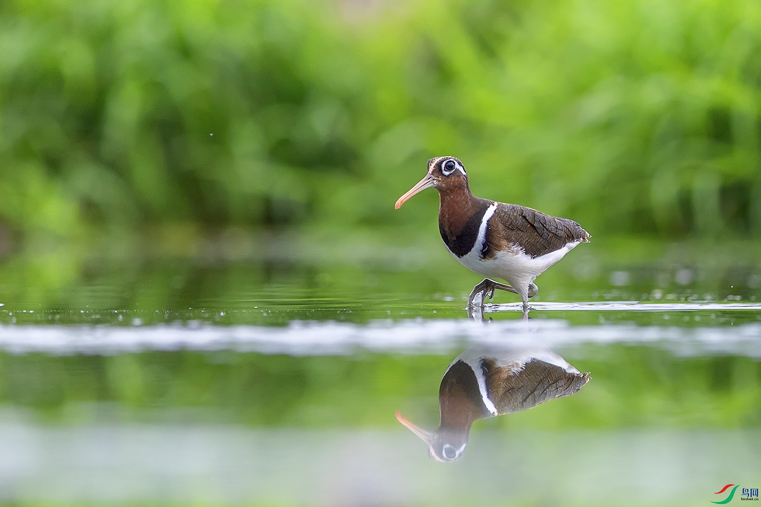 0F7A1054 ����A.jpg