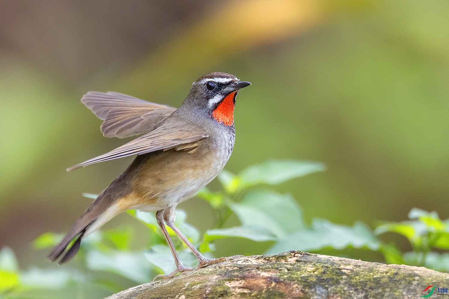 0F7A7391 ����.jpg