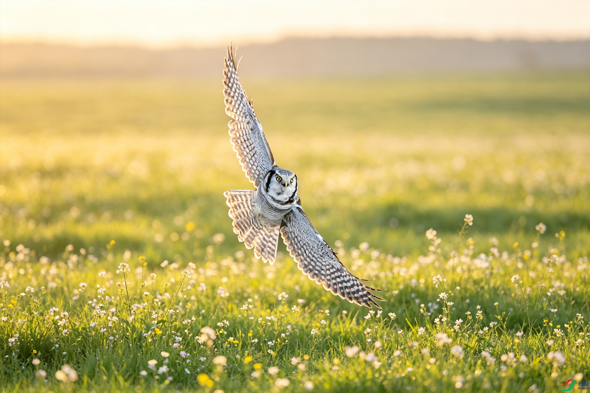 _DSC0263 ����С.jpg