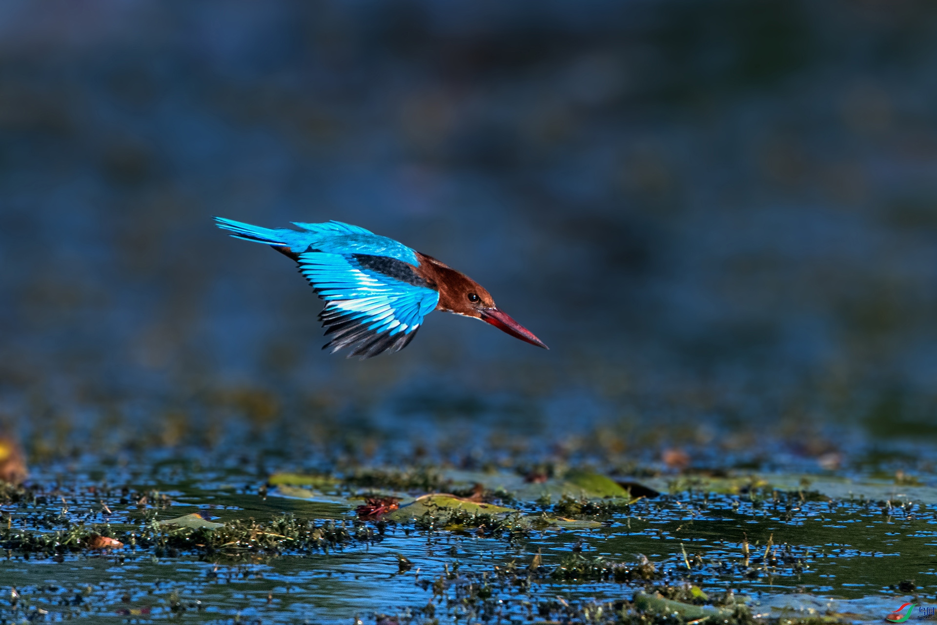 _AUU2303�������(24.12.1).jpg