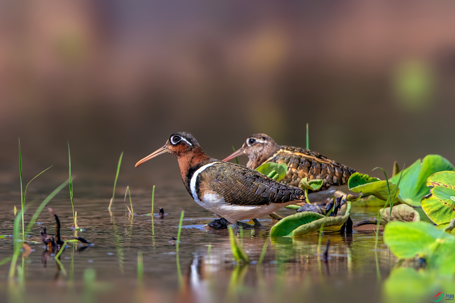 _AUU2310����ͬ��(24.5.4).jpg
