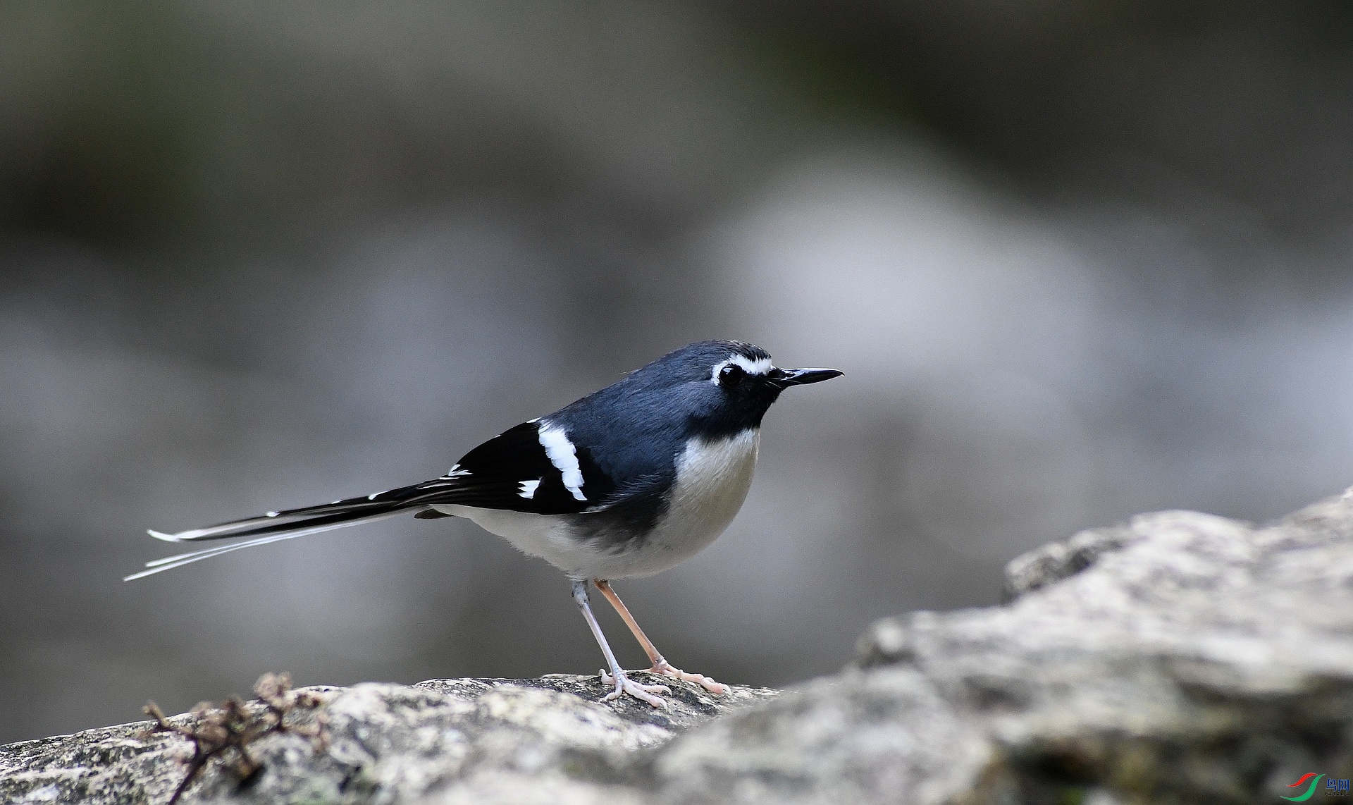 DSC_1562.jpg