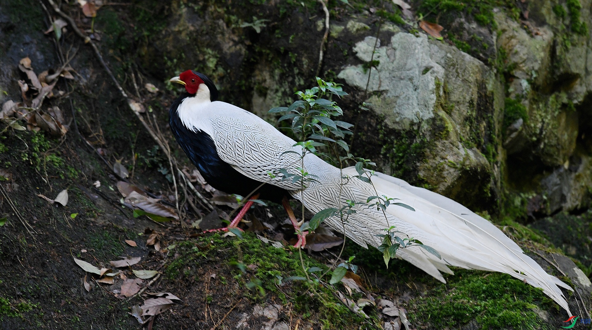 DSC_2283.jpg