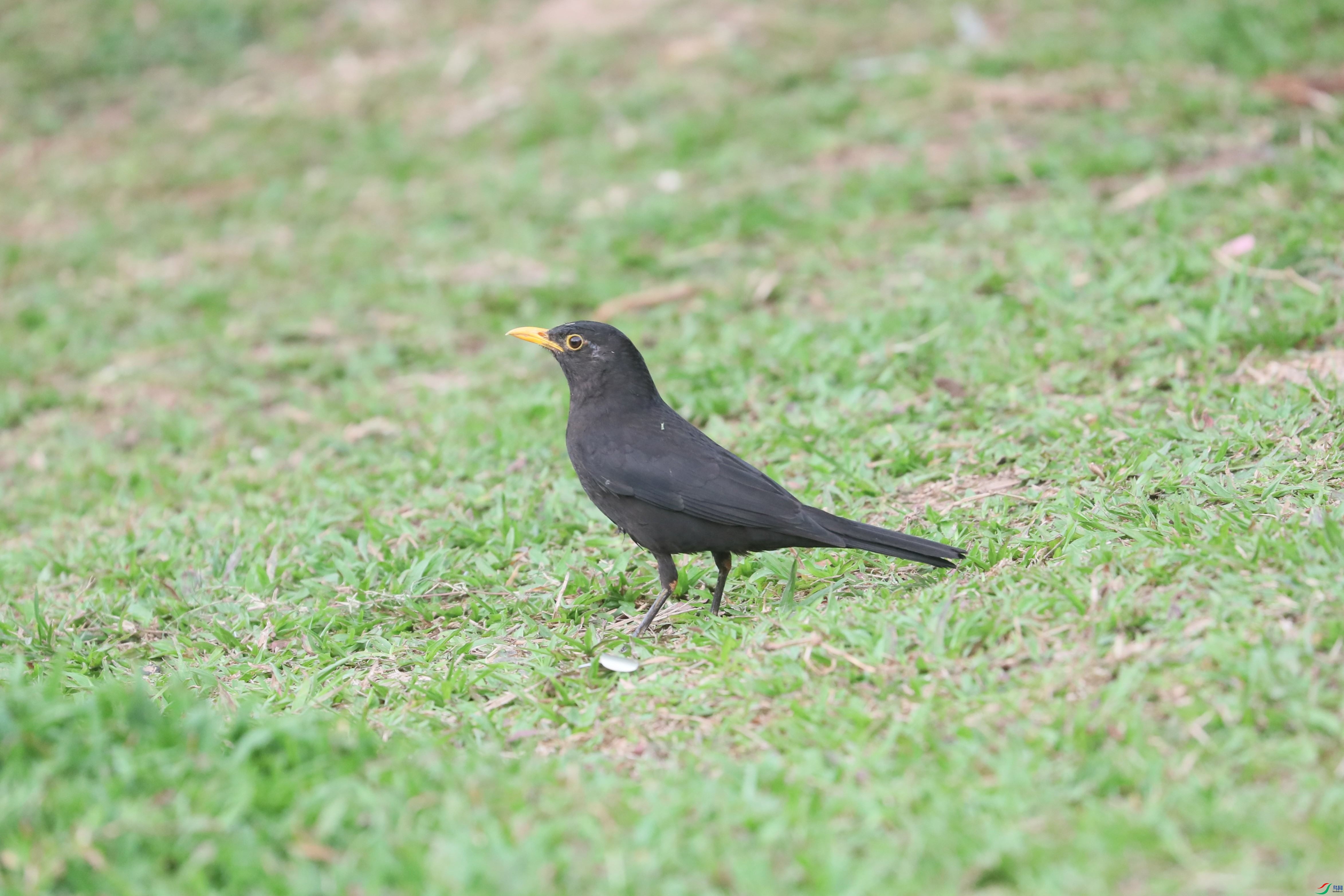 BL7A6388.JPG