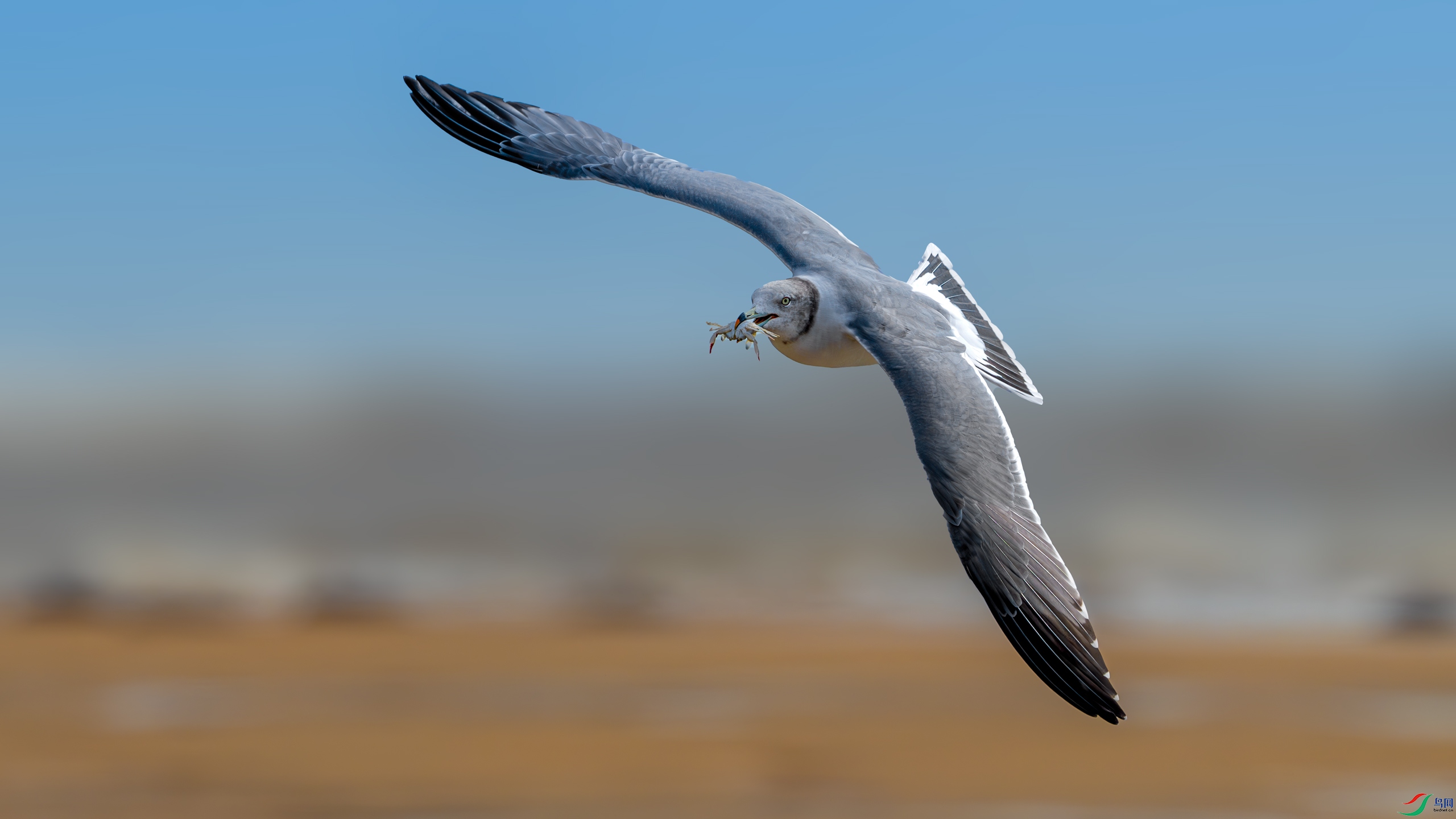 DSC_7173.jpg