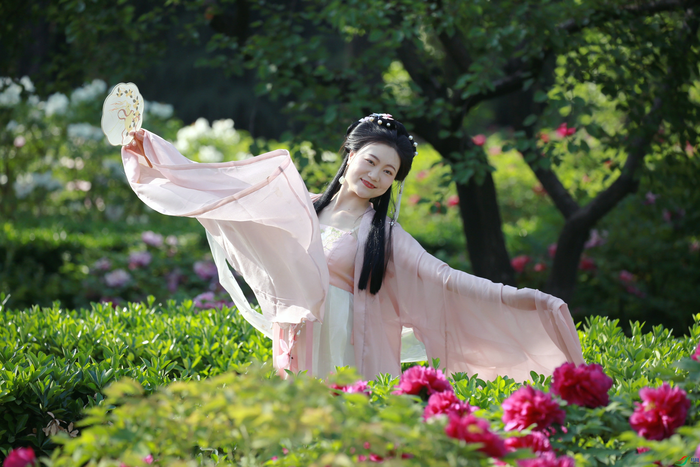 BG3A4000_����.JPG