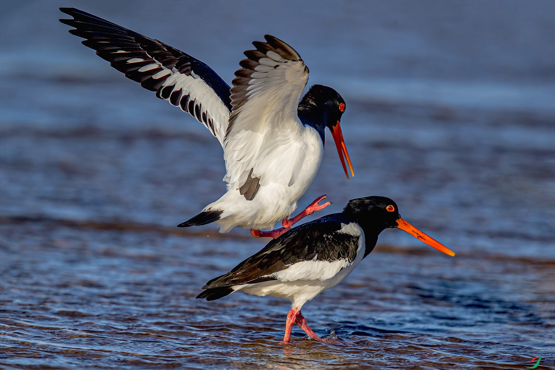 _90I2858 ����.jpg