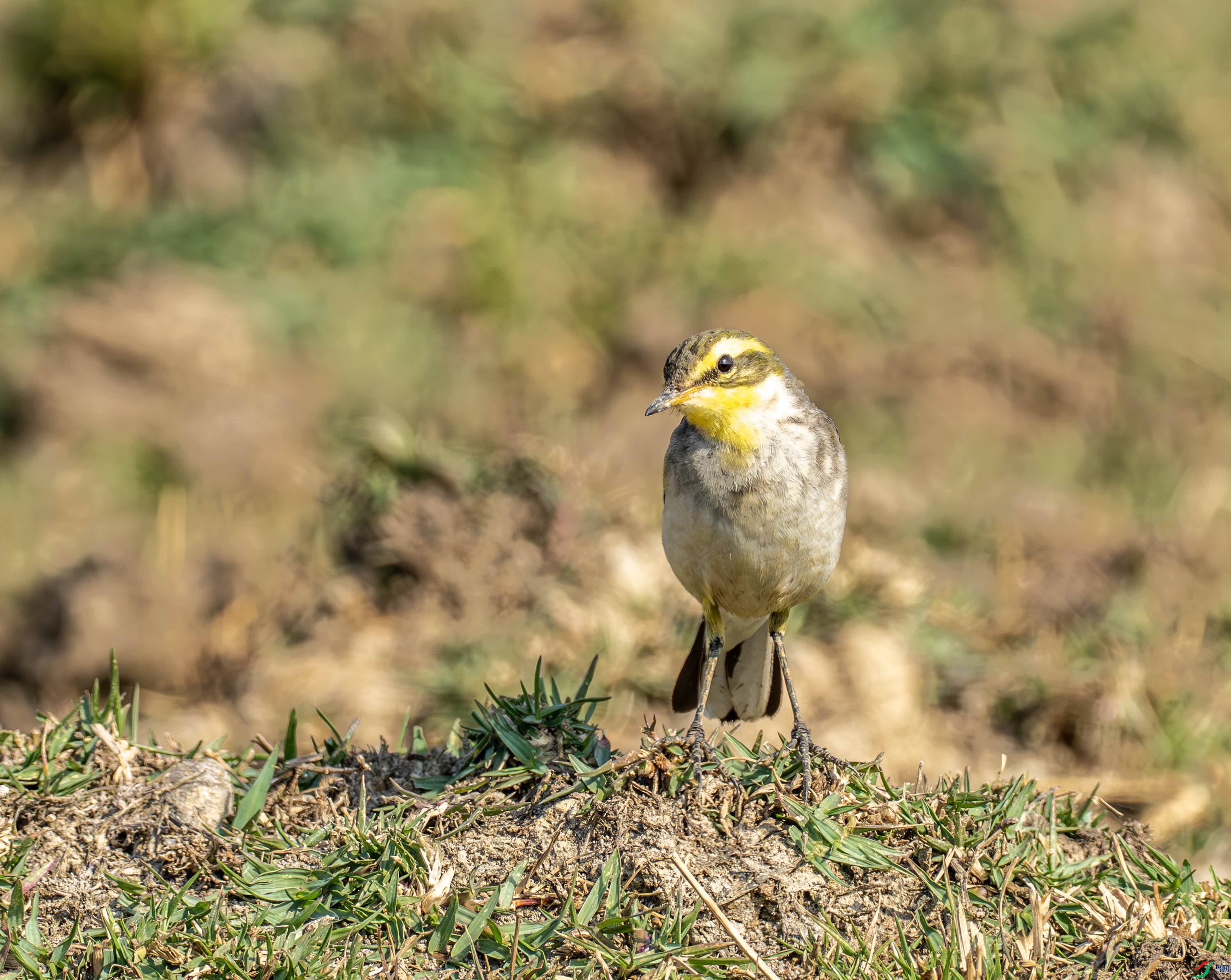 ���n�_-01-10.jpg