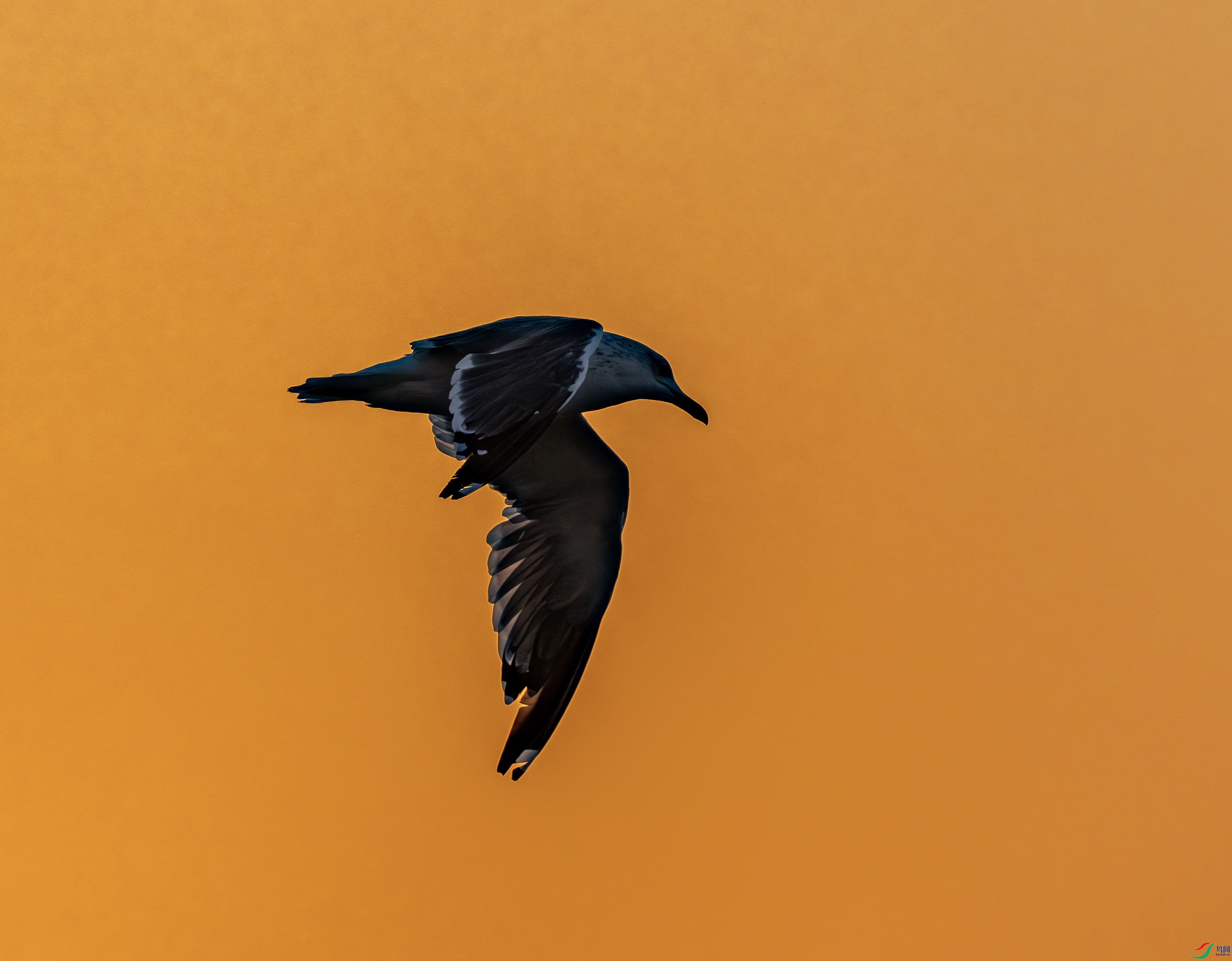 ����������Ÿ-03-6.jpg