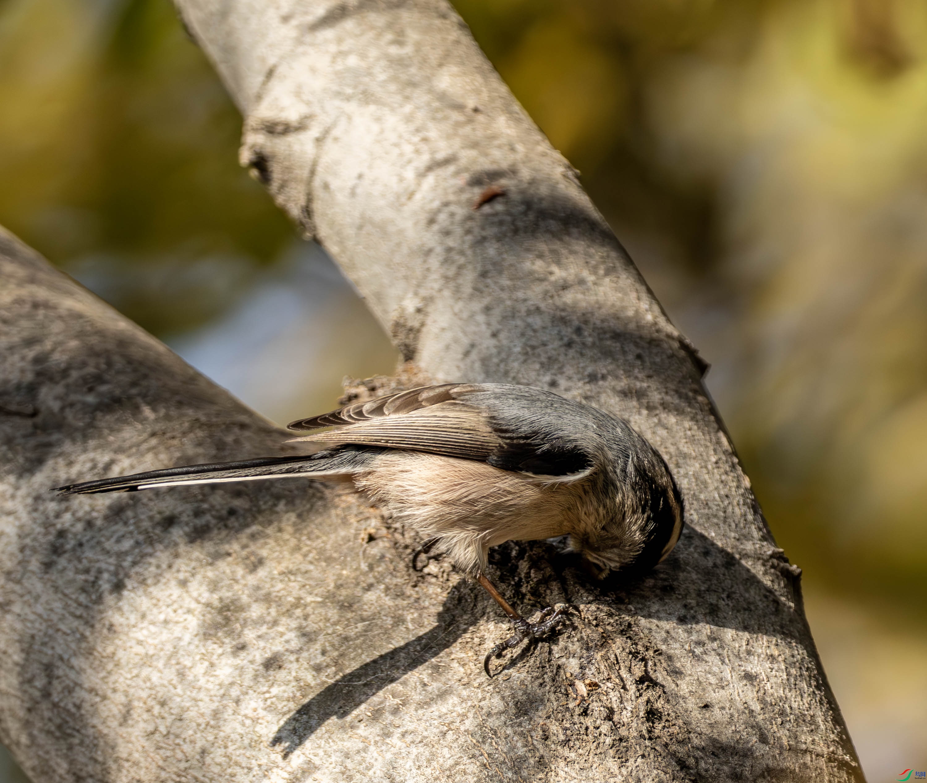 ������βɽȸ-02-9.jpg