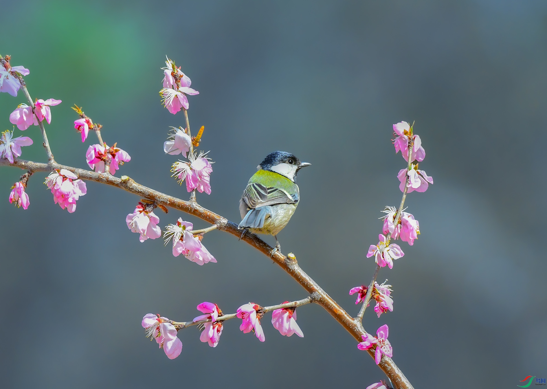 DSC_0072_��ͼ�� ����.jpg