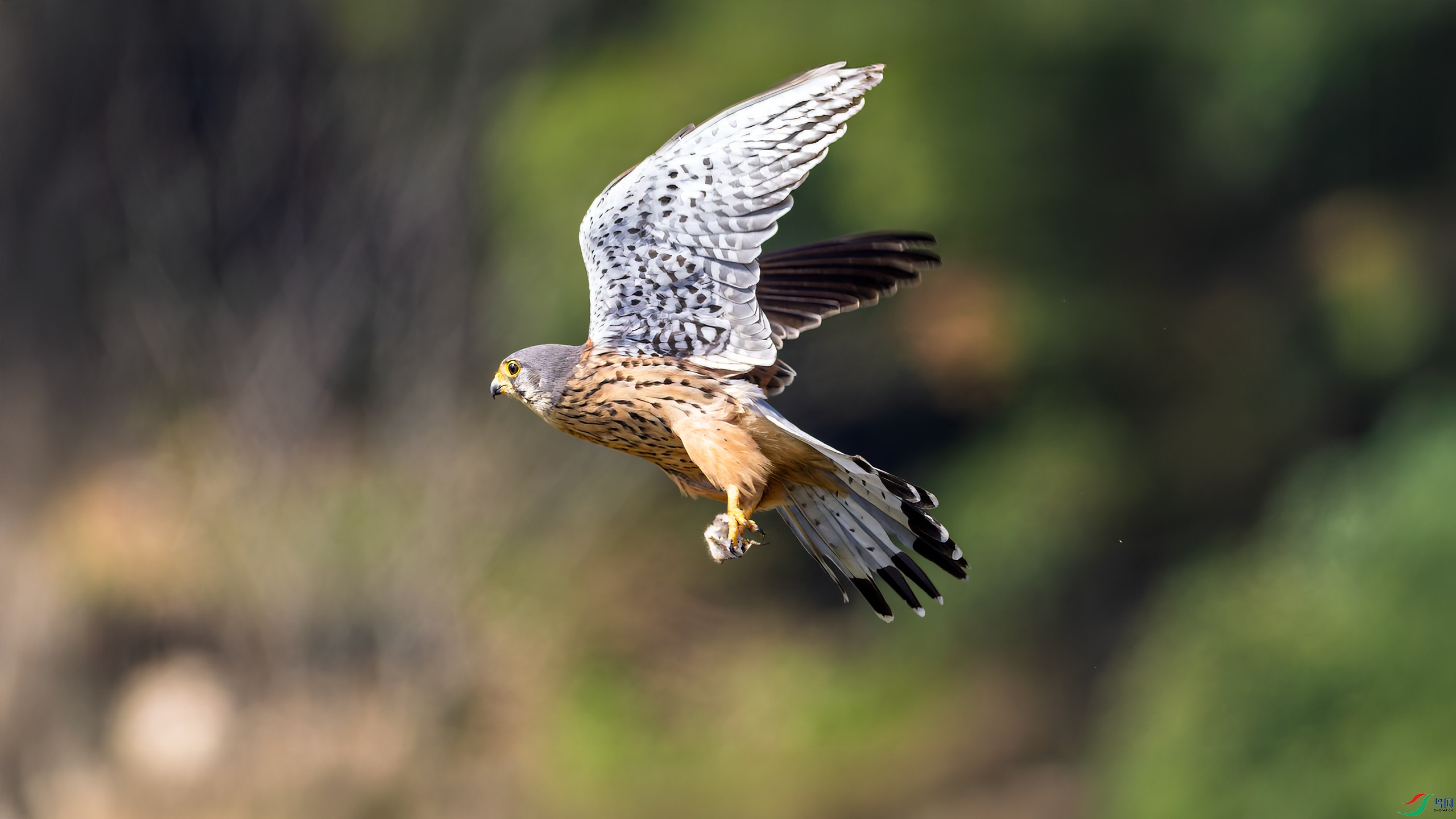 P3105327-3.jpg