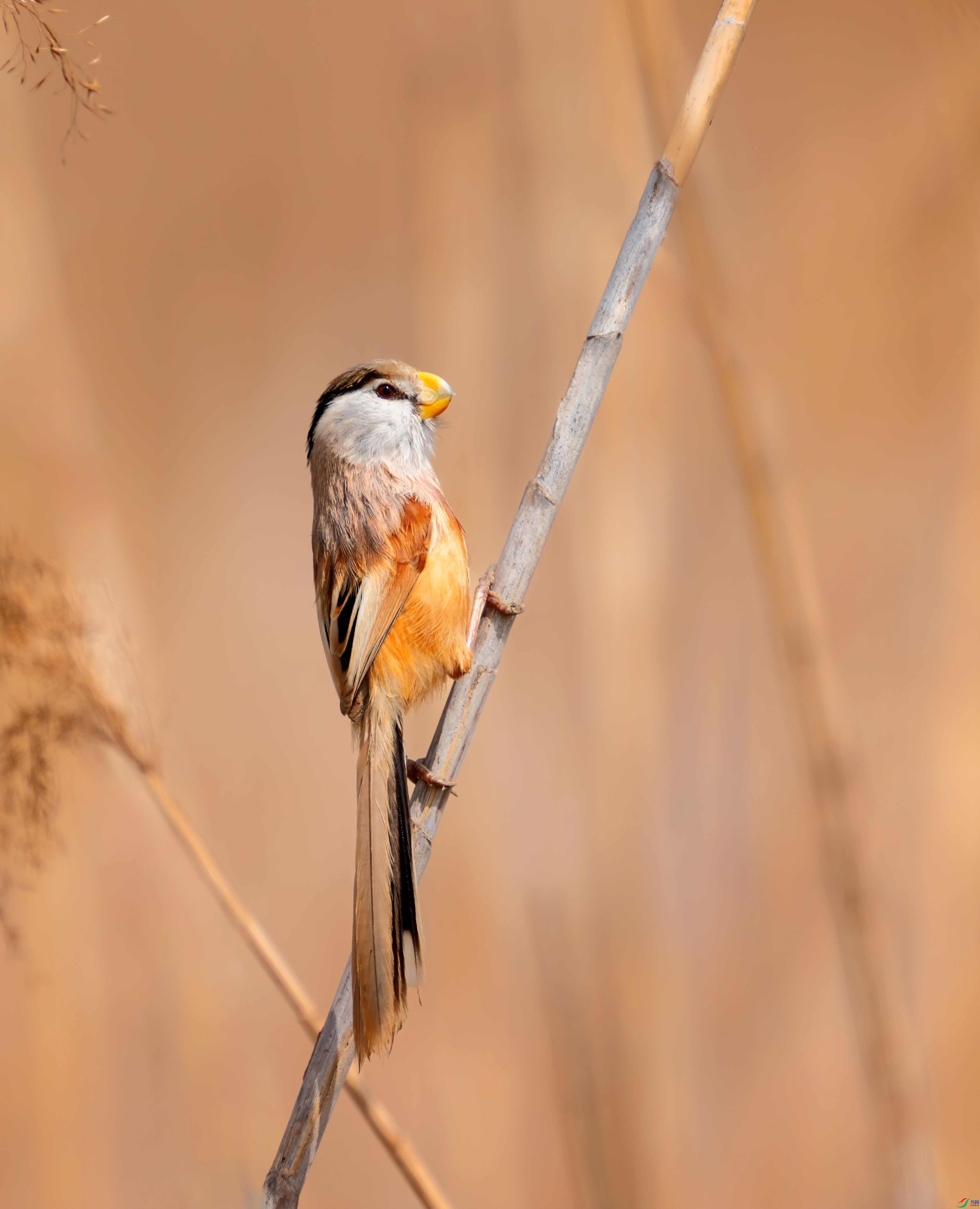 _DSC7651 ����-01.jpeg