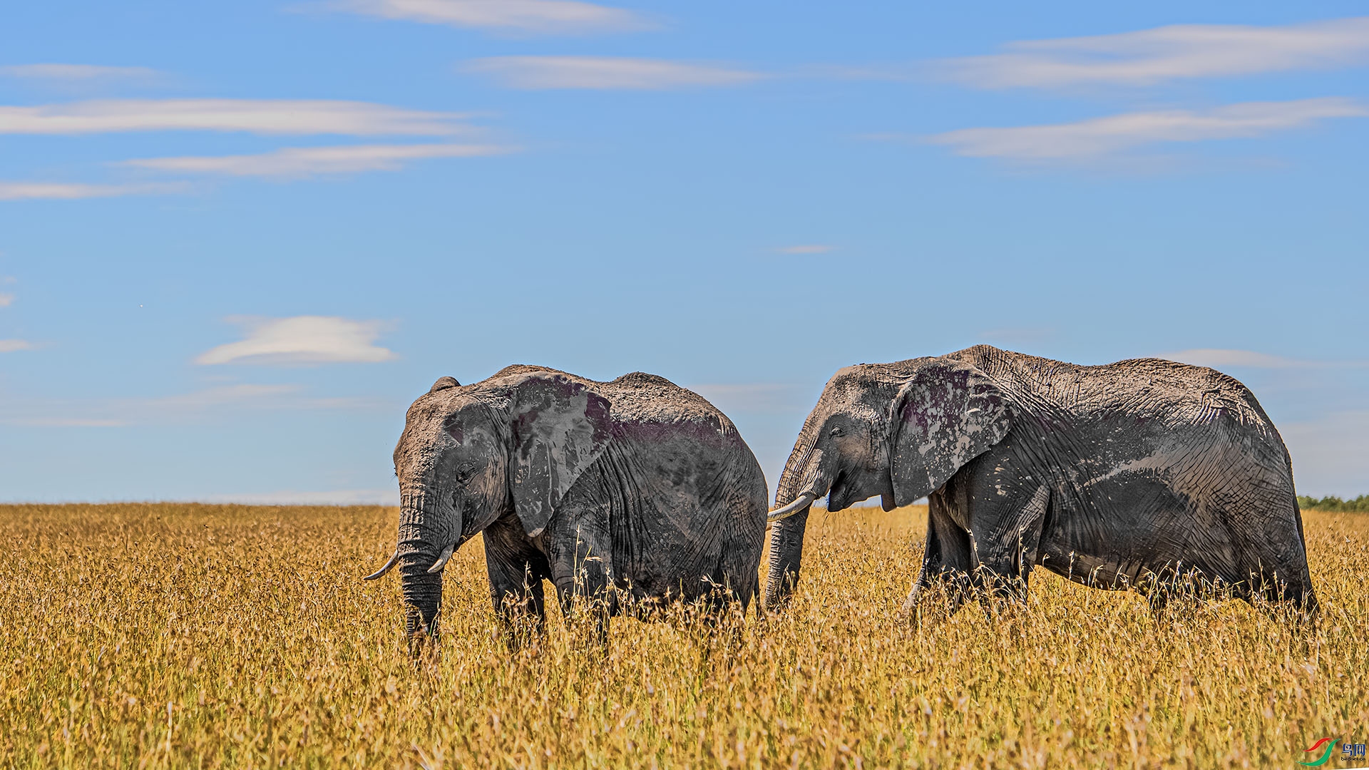 DSC_9947 ����.jpg