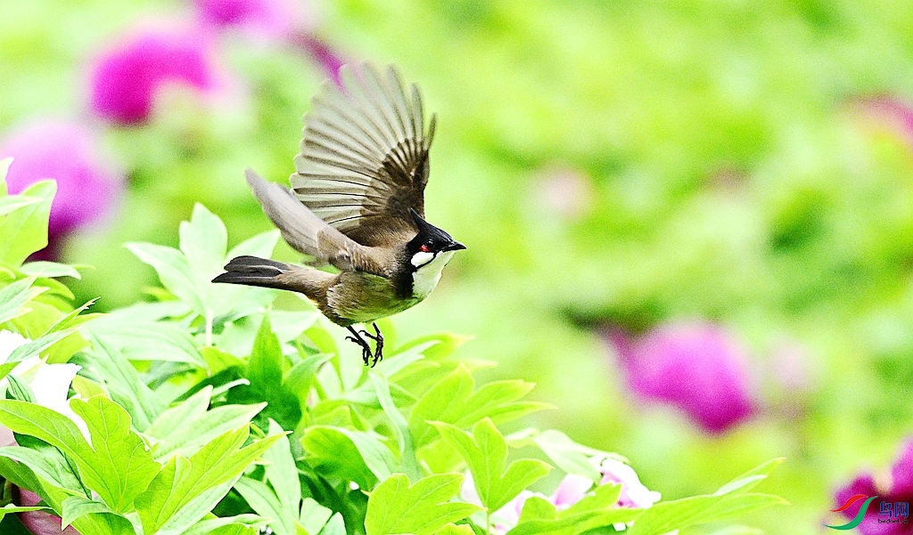 DSC_5303.JPG