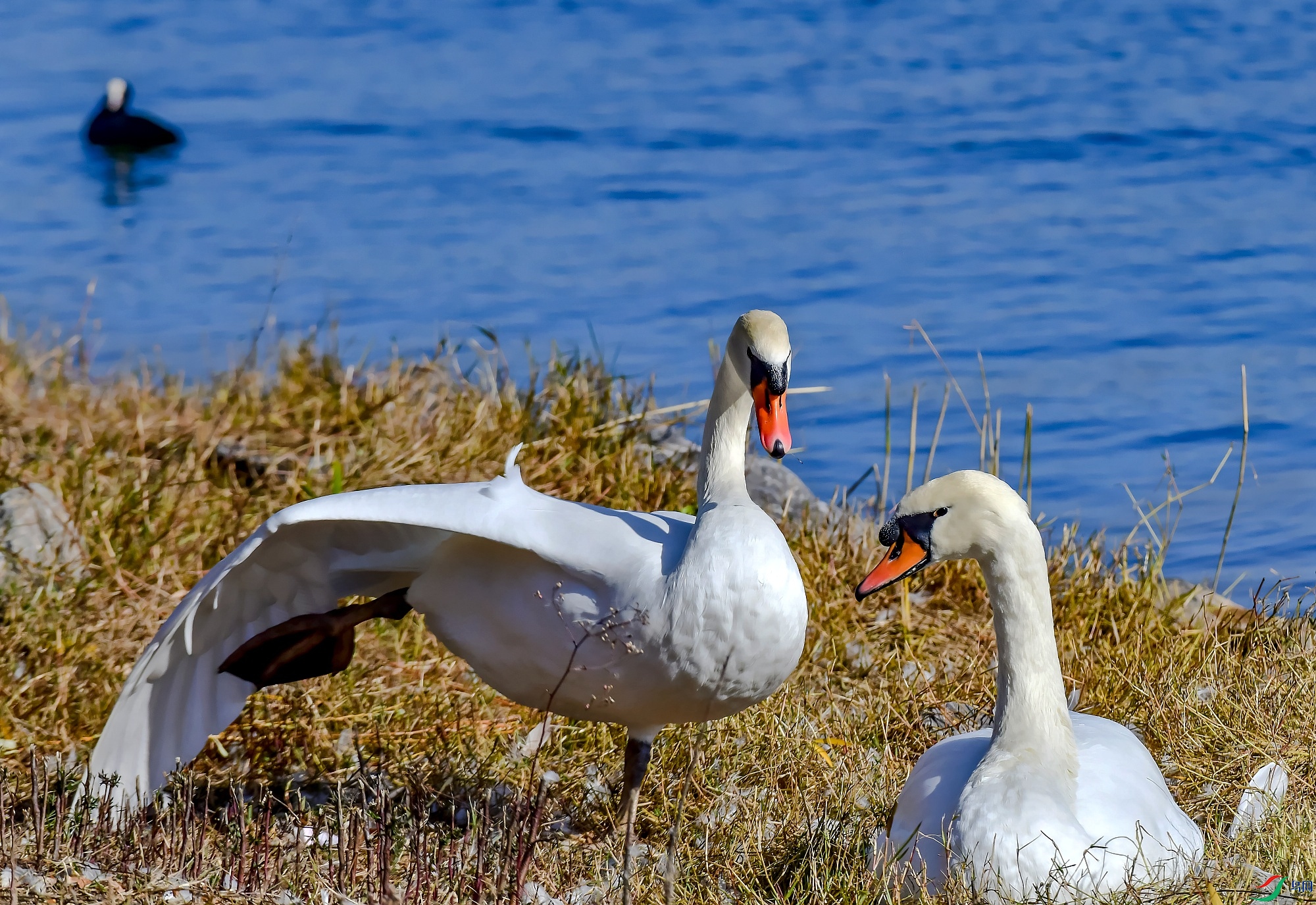 DSC_7118С��.jpg