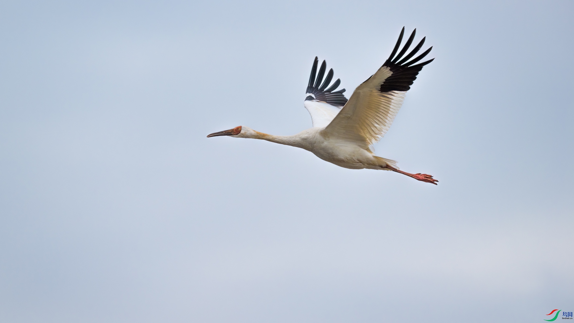 DSC_1720sen2026-2-27-159-�༭.jpg